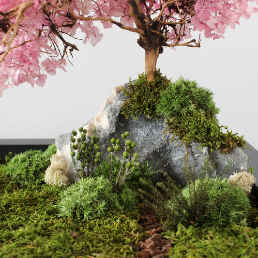 Zen garden with cherry blossom bonsai