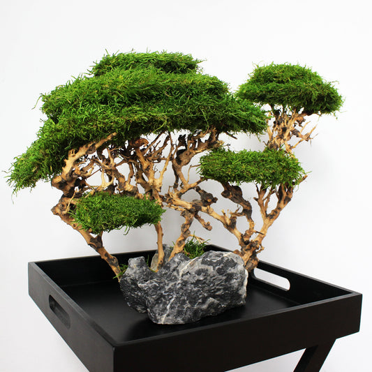 OOAK preserved bonsai on natural stone with real stabilized moss. Sculptural nature-inspired decor piece for shelf, coffee table or office, created as a one-of-a-kind composition.