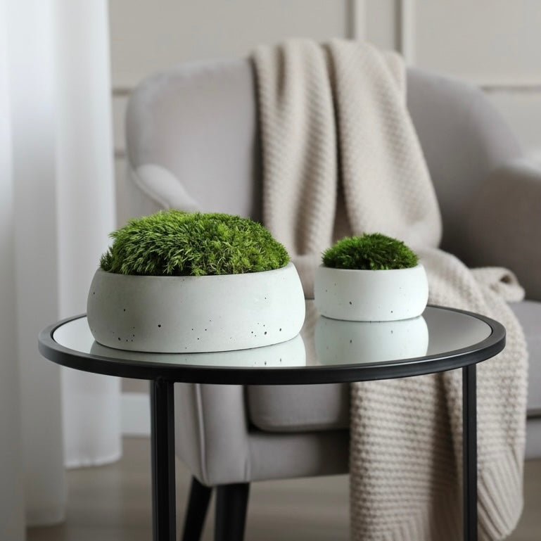 Moss bowls