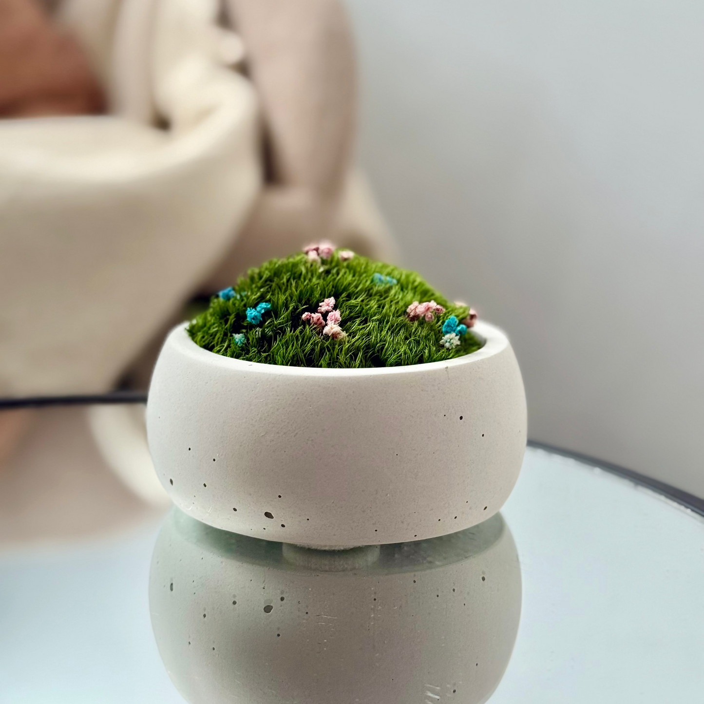 Preserved moss bowl with delicate gypsophila flowers, natural indoor greenery decor for shelf or table styling.