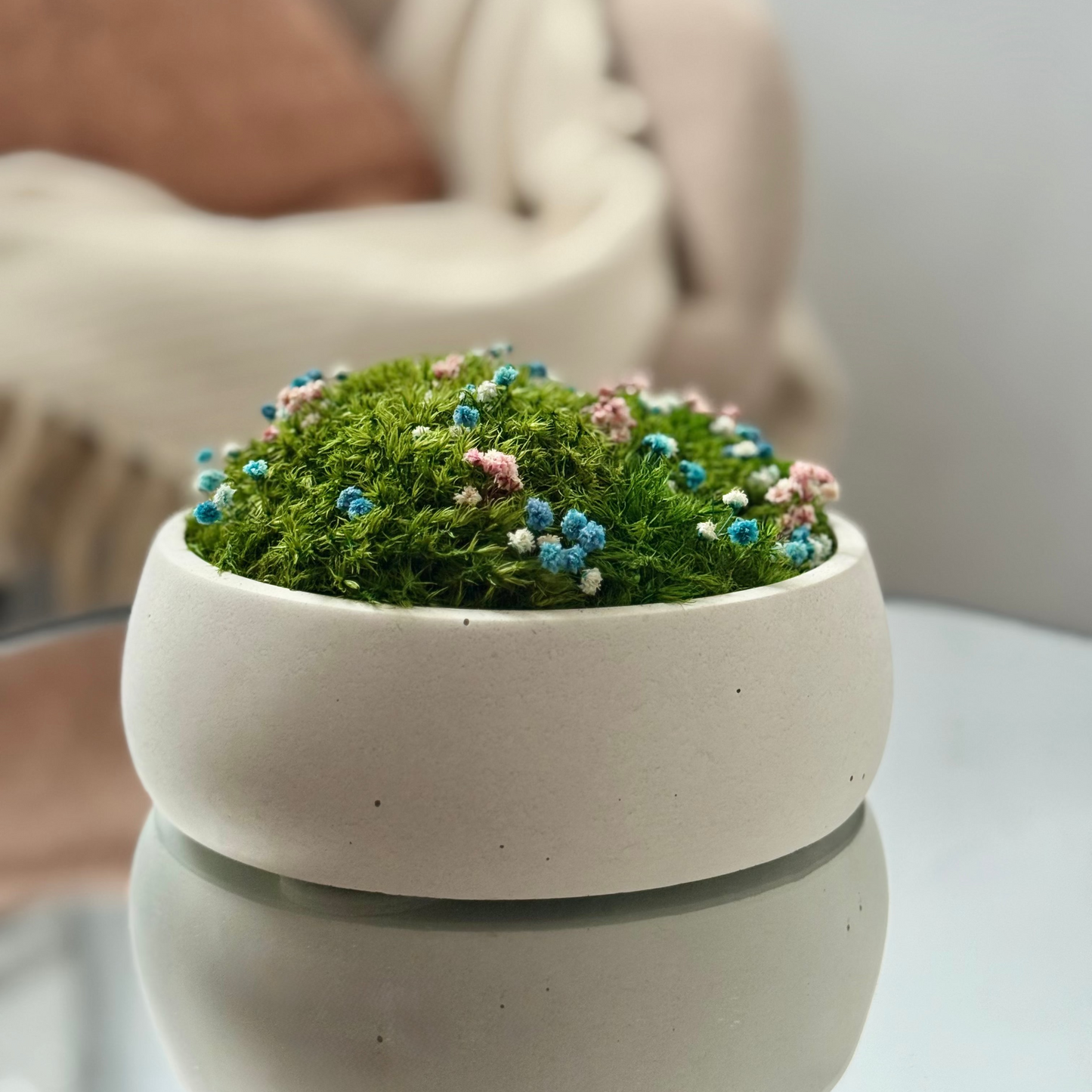 Preserved moss bowl with delicate gypsophila flowers, natural indoor greenery decor for shelf or table styling.