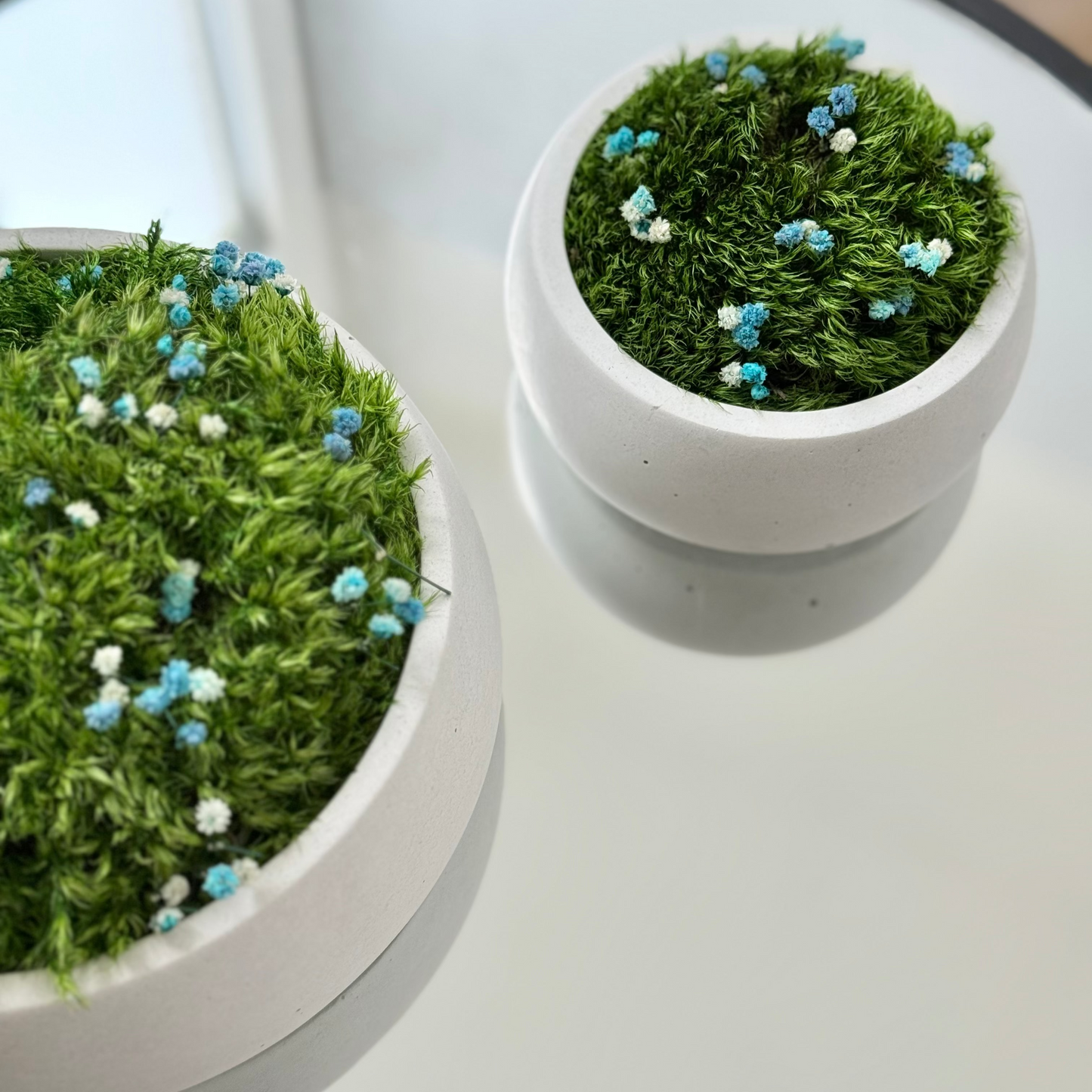Preserved moss bowl with blue and white gypsophila flowers, natural indoor greenery decor for shelf or table styling.