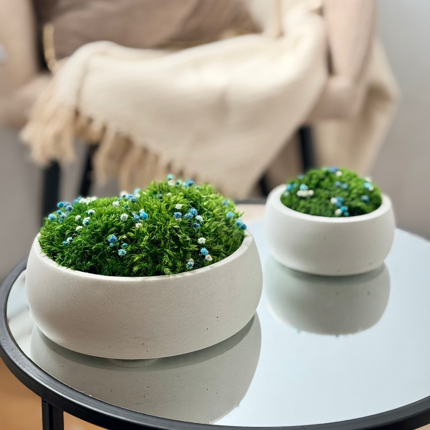 Preserved moss bowl with blue and white gypsophila flowers, natural indoor greenery decor for shelf or table styling.