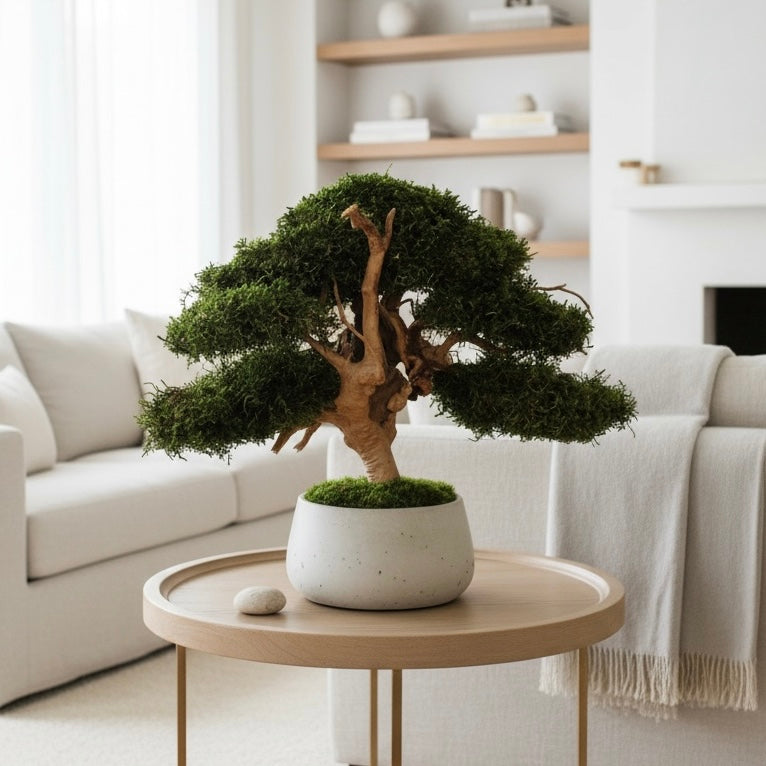 Large moss bonsai tree
