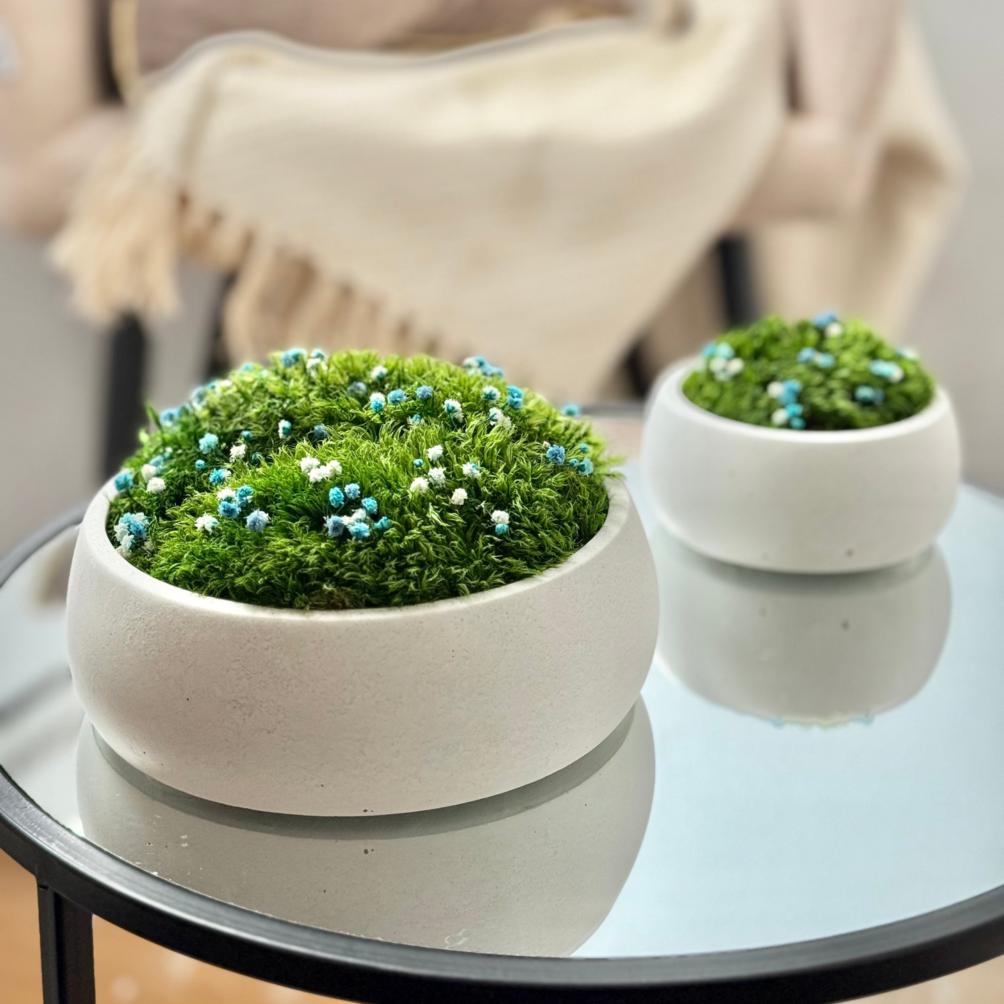 Preserved moss bowl with blue and white gypsophila flowers, natural indoor greenery decor for shelf or table styling.