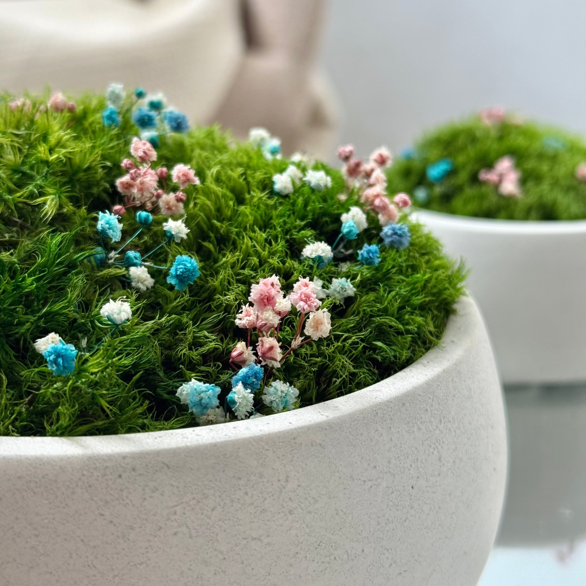 Preserved moss bowl with delicate gypsophila flowers, natural indoor greenery decor for shelf or table styling.