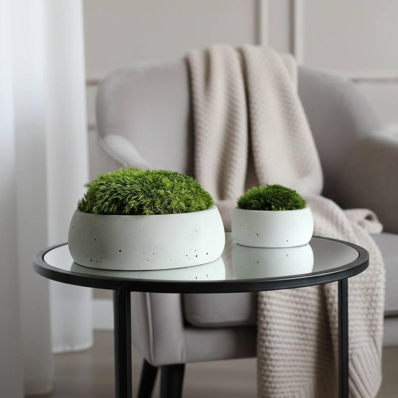 Concrete pots with mood moss for decoration.