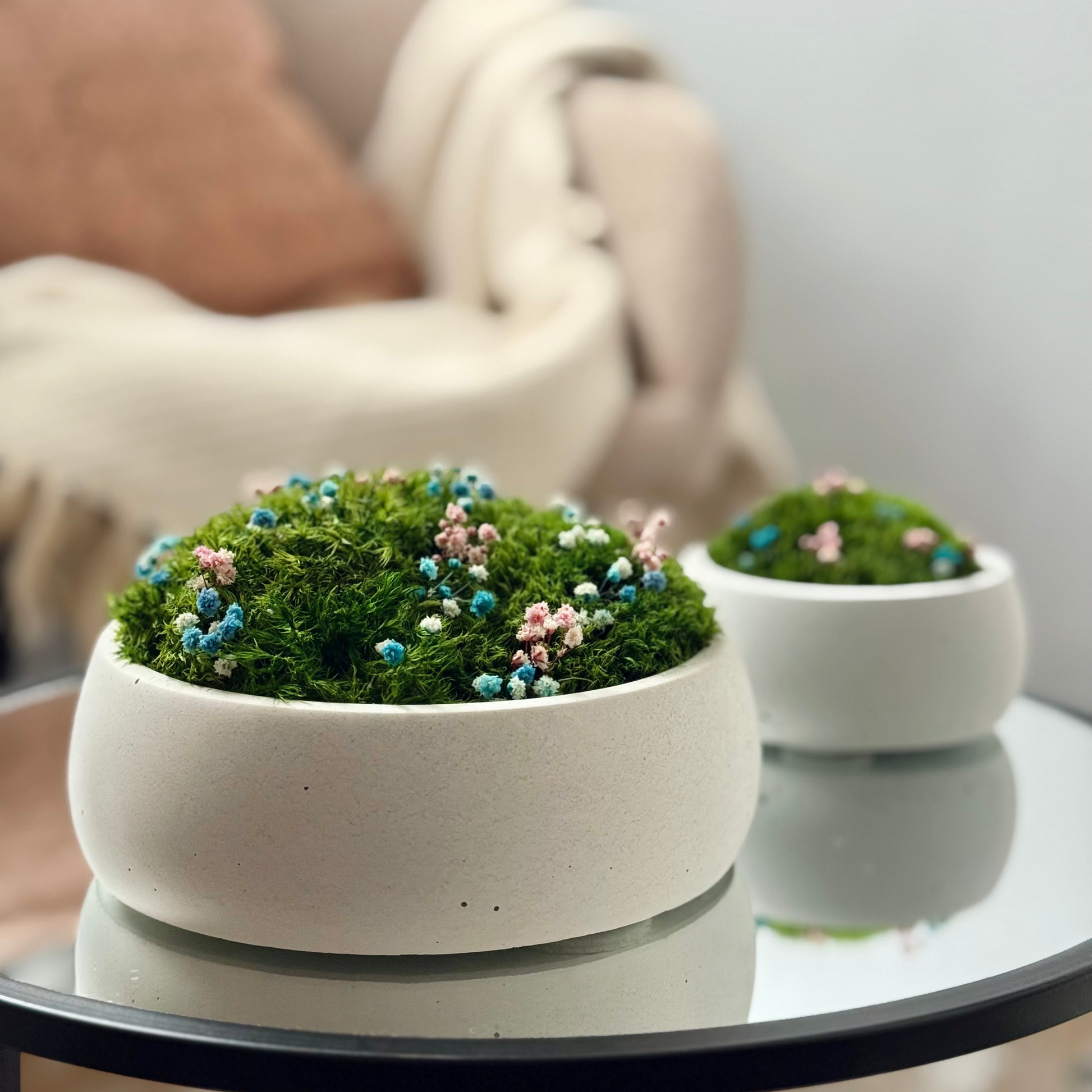 Preserved moss bowl with delicate gypsophila flowers, natural indoor greenery decor for shelf or table styling.