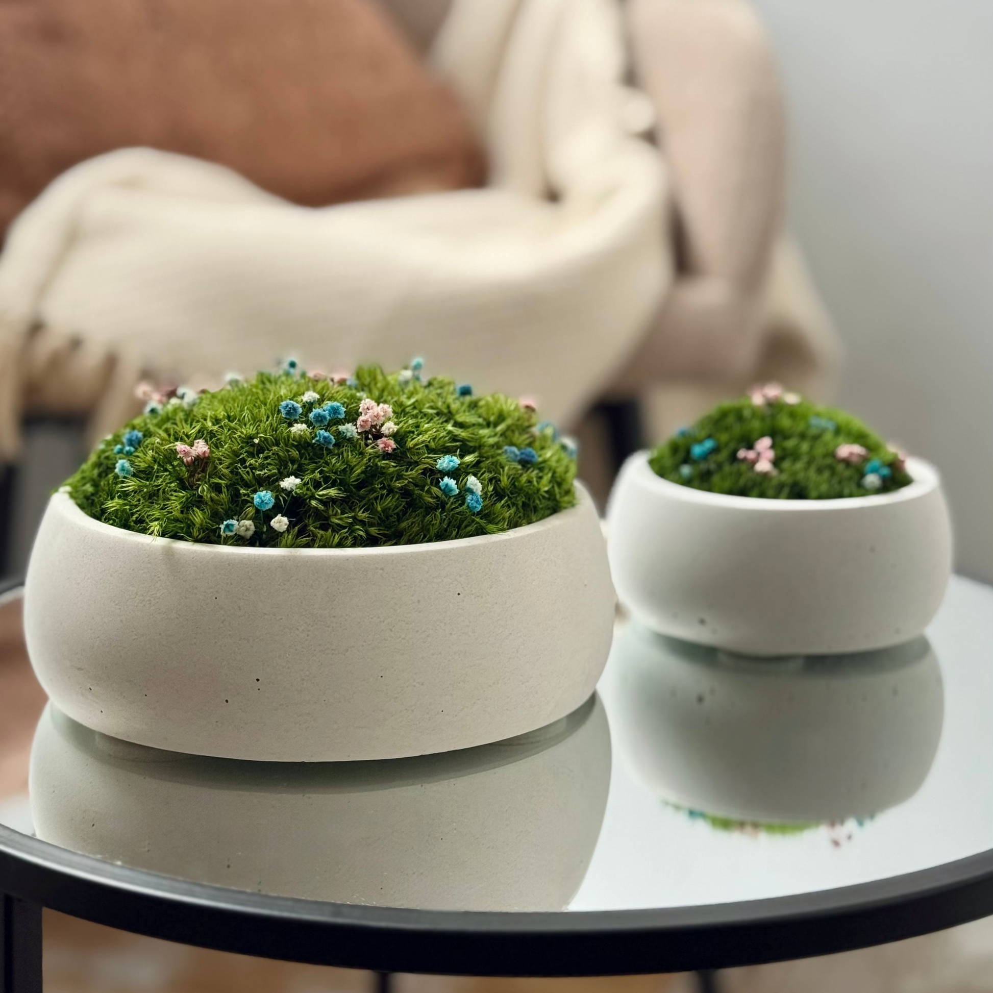 Preserved moss bowl with delicate gypsophila flowers, natural indoor greenery decor for shelf or table styling.