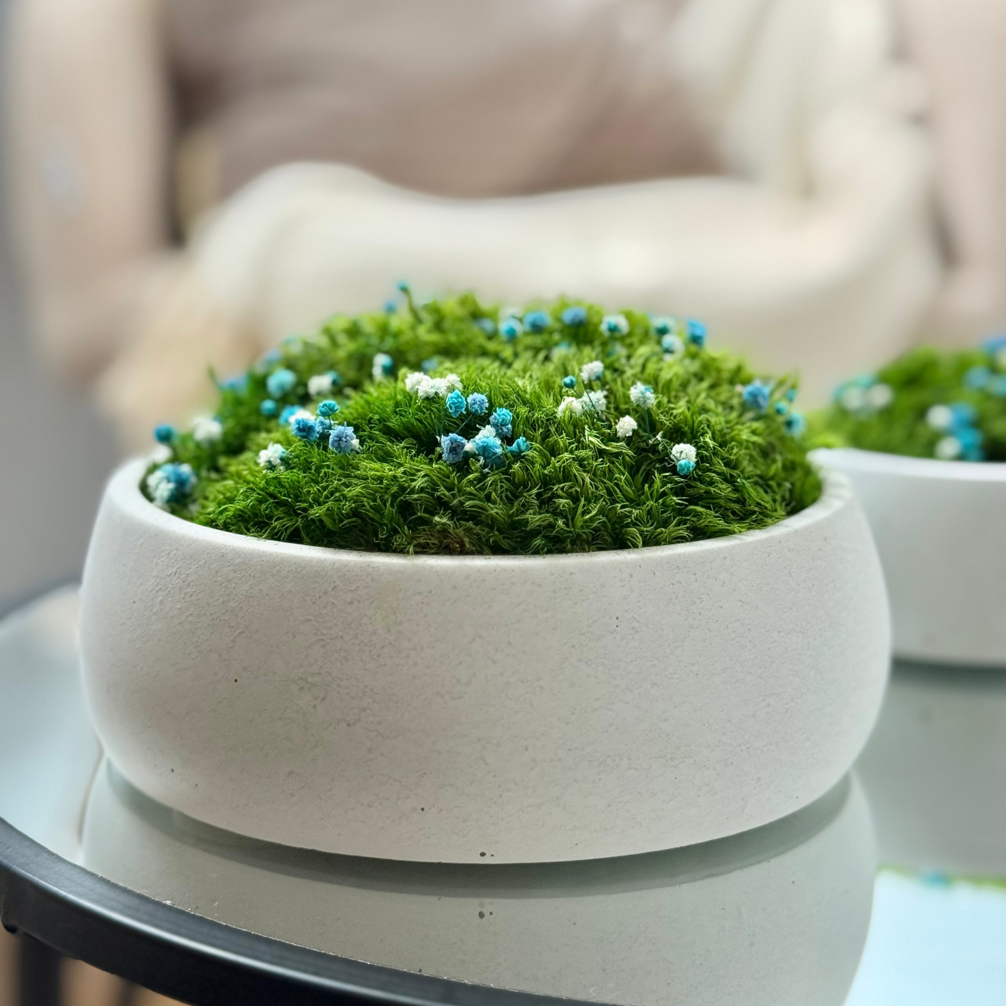 Preserved moss bowl with blue and white gypsophila flowers, natural indoor greenery decor for shelf or table styling.