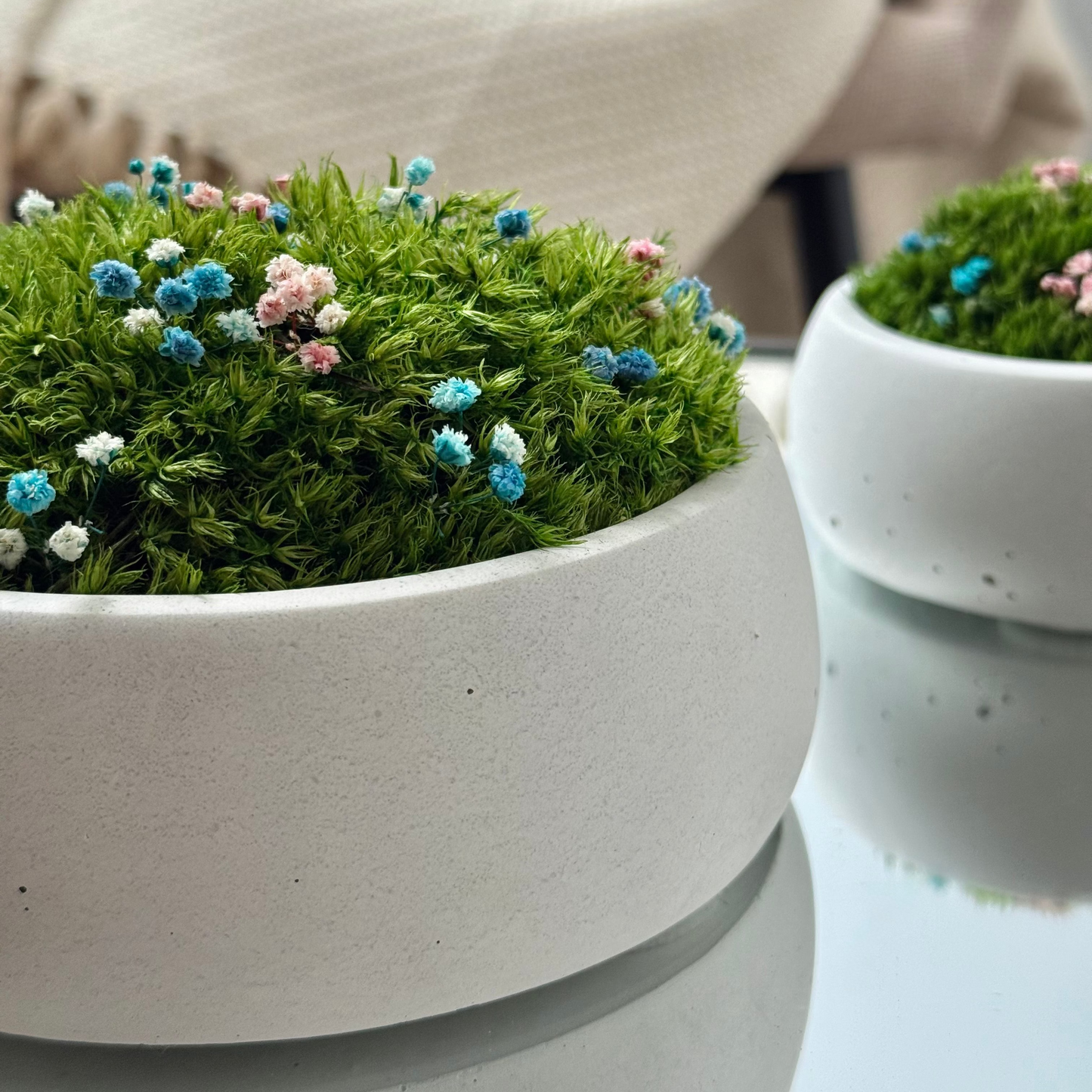 Preserved moss bowl with delicate gypsophila flowers, natural indoor greenery decor for shelf or table styling.