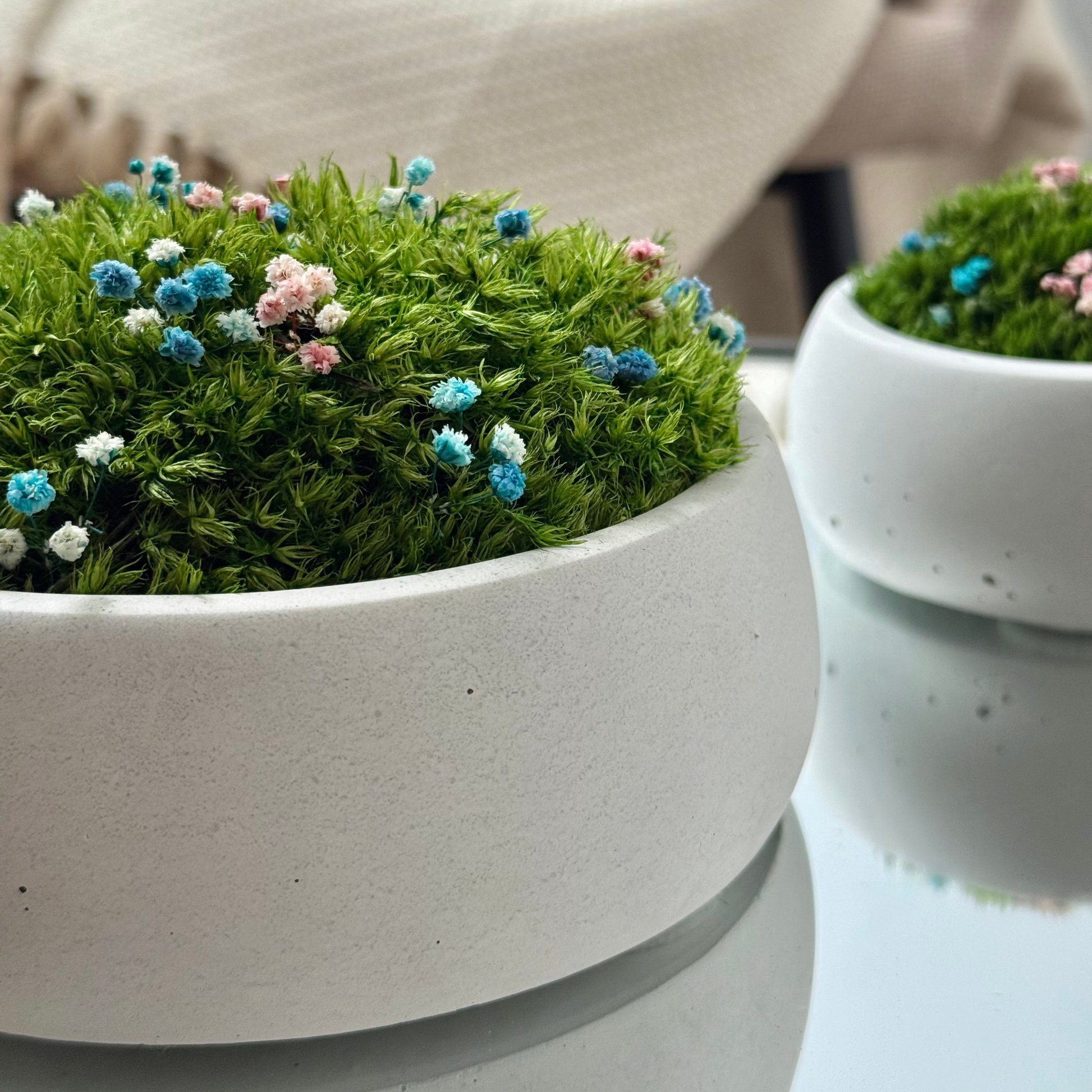Preserved moss bowl with delicate gypsophila flowers, natural indoor greenery decor for shelf or table styling.