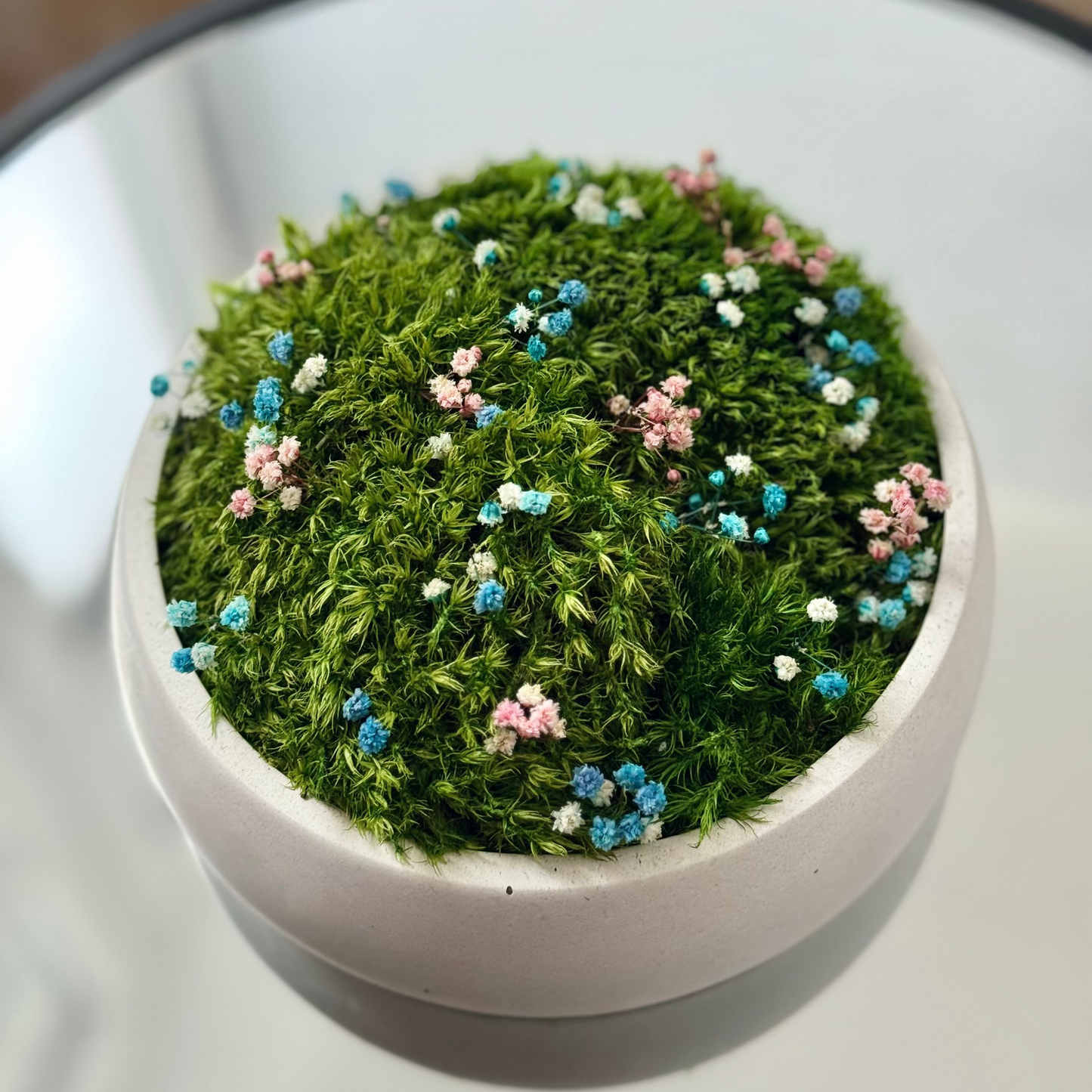 Preserved moss bowl with delicate gypsophila flowers, natural indoor greenery decor for shelf or table styling.