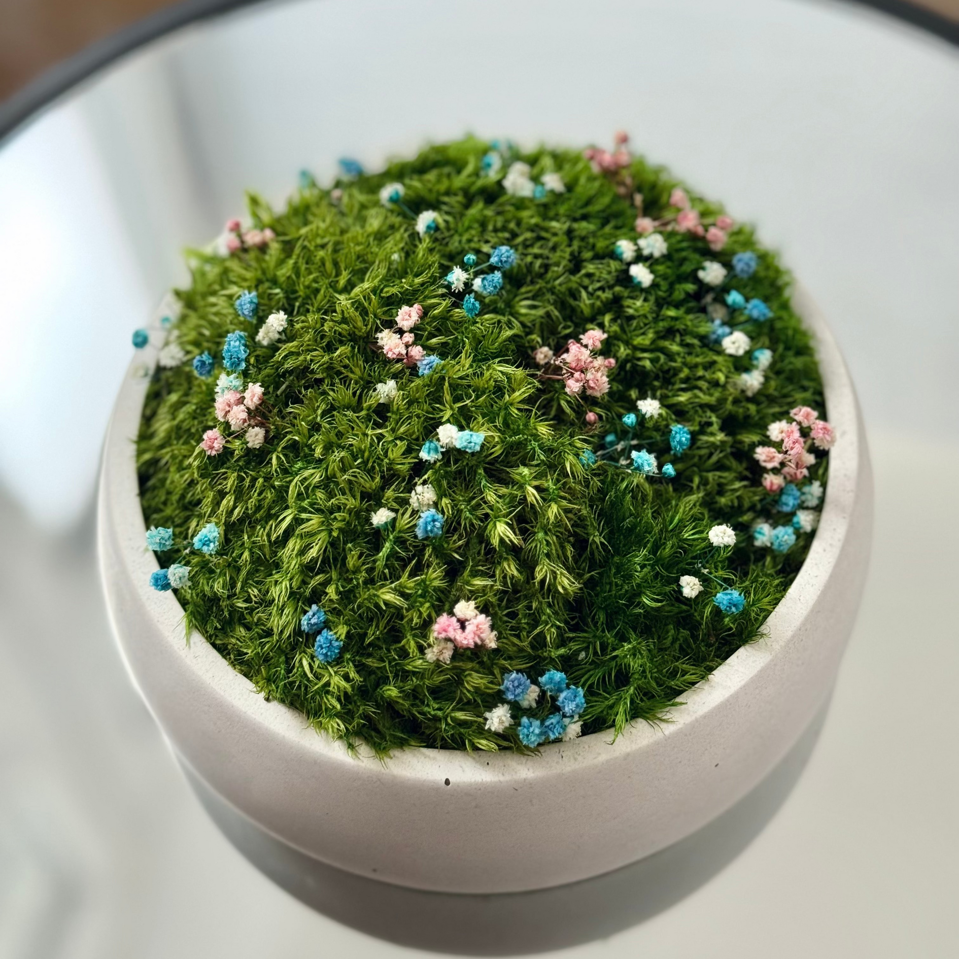 Preserved moss bowl with delicate gypsophila flowers, natural indoor greenery decor for shelf or table styling.