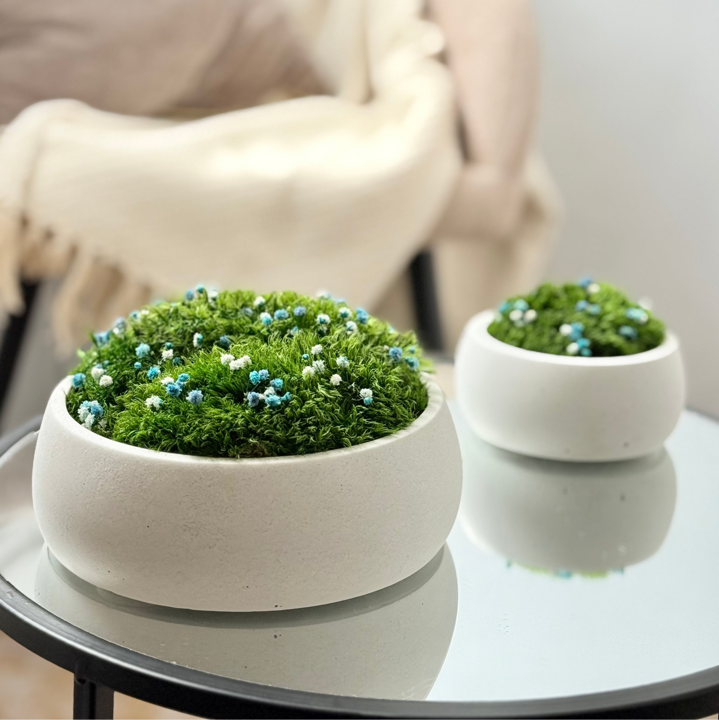 Set of two concrete bowls with moss.