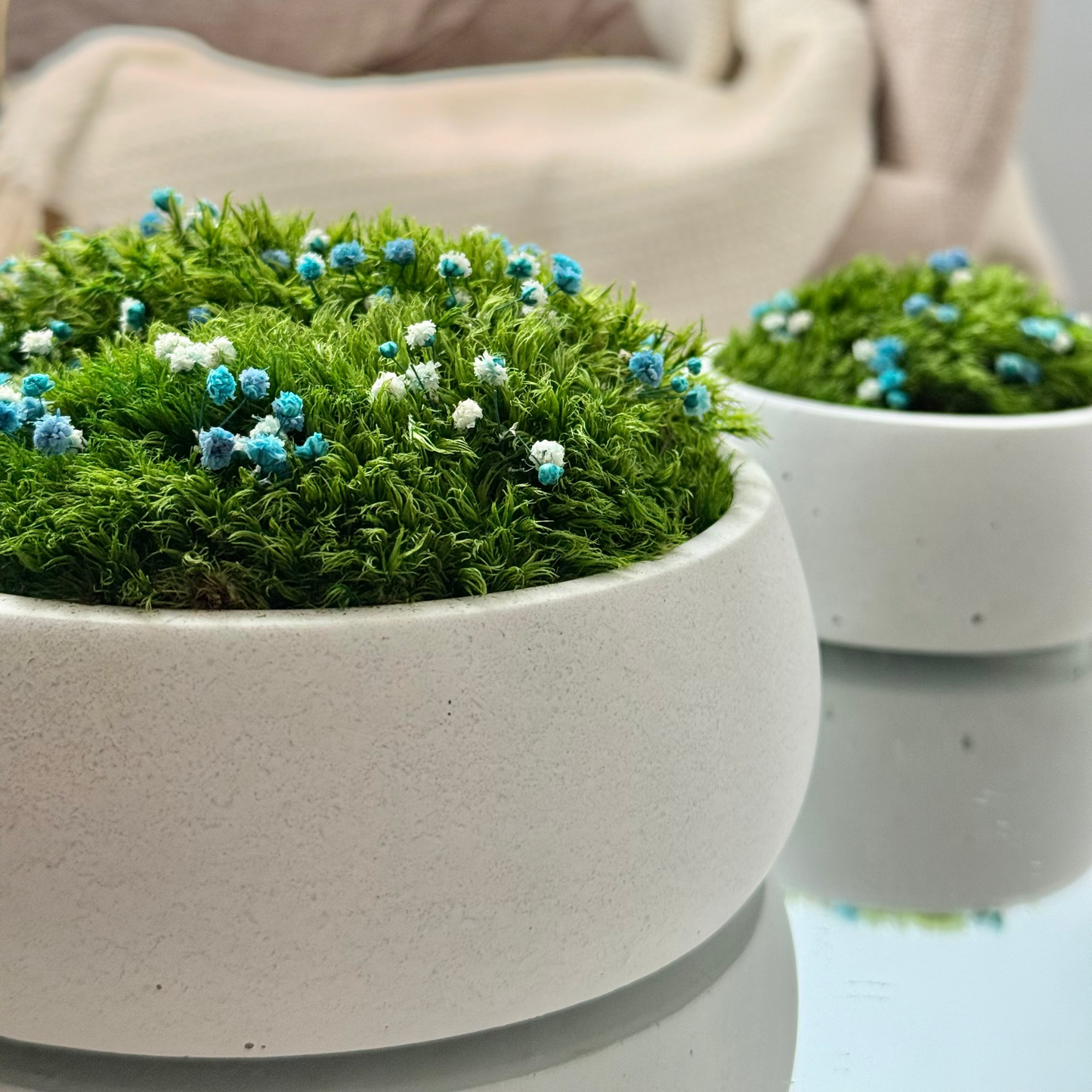 Preserved moss bowl with blue and white gypsophila flowers, natural indoor greenery decor for shelf or table styling.