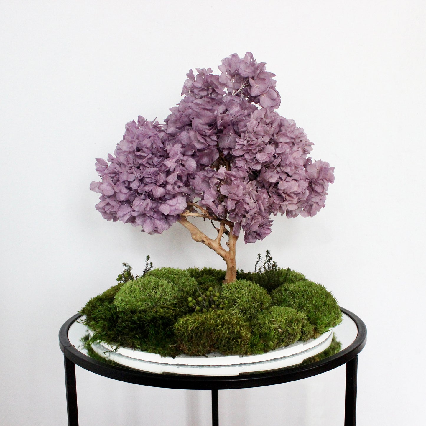 Flowering bonsai zen garden with lavender hydrangea canopy and layered moss landscape on a round white base, styled as Japandi console decor.