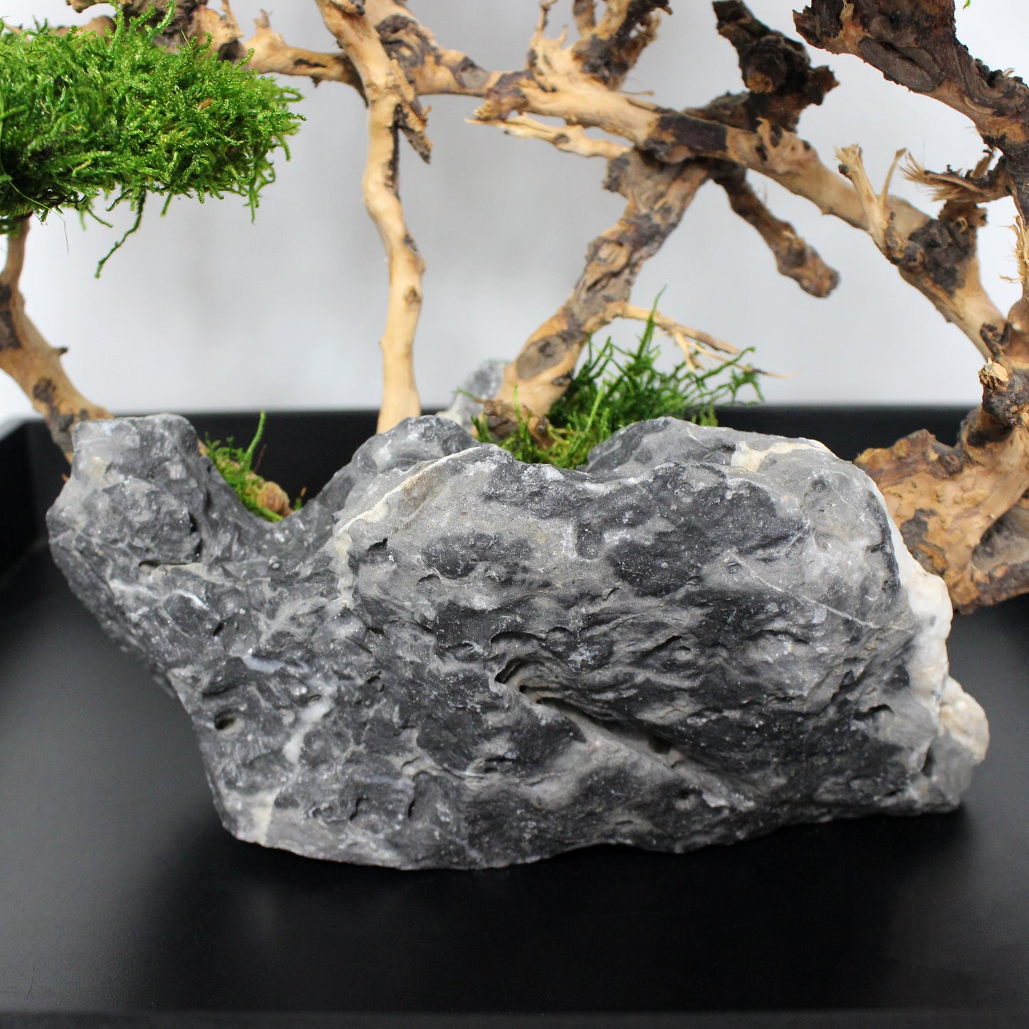 OOAK preserved bonsai on natural stone with real stabilized moss. Sculptural nature-inspired decor piece for shelf, coffee table or office, created as a one-of-a-kind composition.