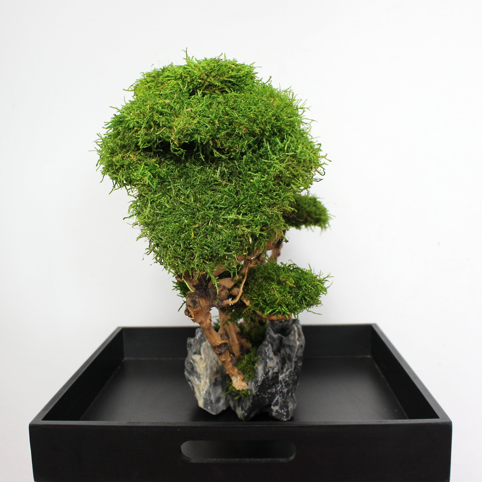 OOAK preserved bonsai on natural stone with real stabilized moss. Sculptural nature-inspired decor piece for shelf, coffee table or office, created as a one-of-a-kind composition.