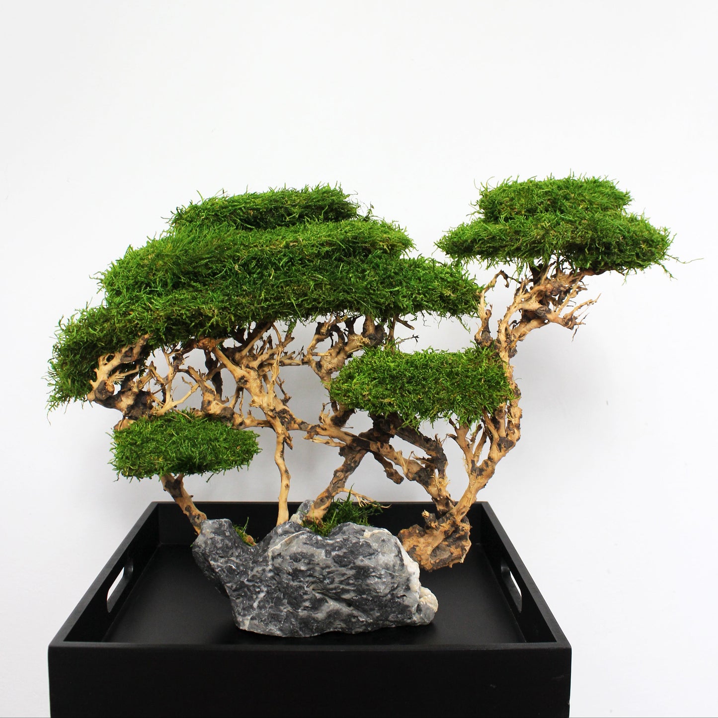 OOAK preserved bonsai on natural stone with real stabilized moss. Sculptural nature-inspired decor piece for shelf, coffee table or office, created as a one-of-a-kind composition.