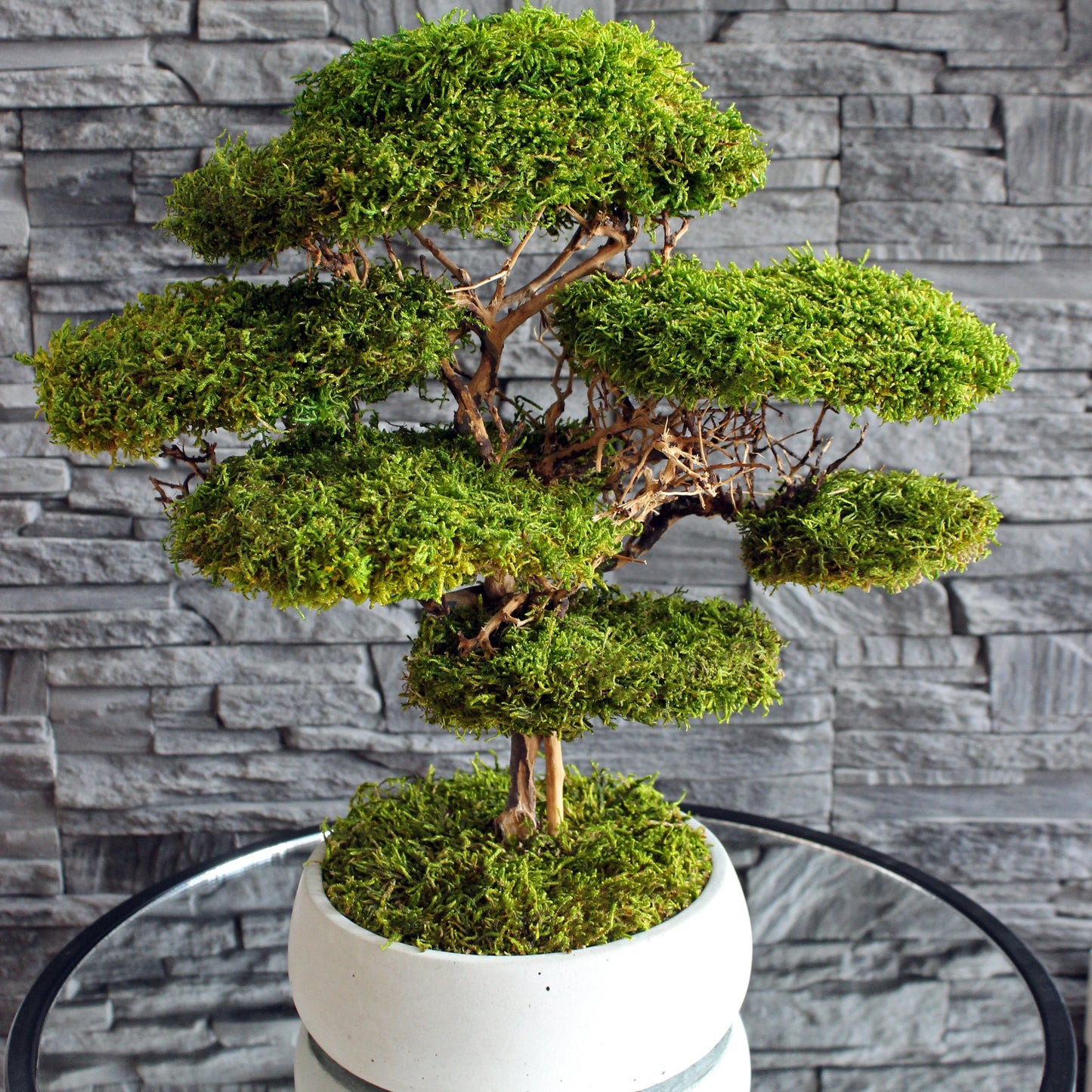 Preserved moss bonsai