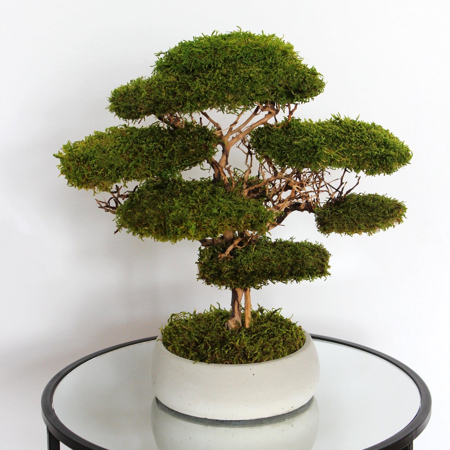 Preserved moss bonsai