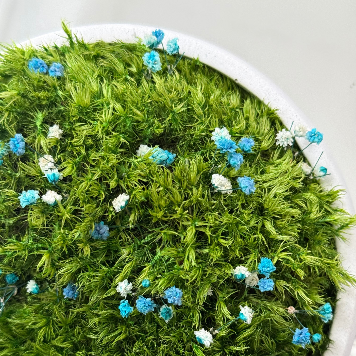 Preserved moss bowl with delicate gypsophila flowers, natural indoor greenery decor for shelf or table styling.