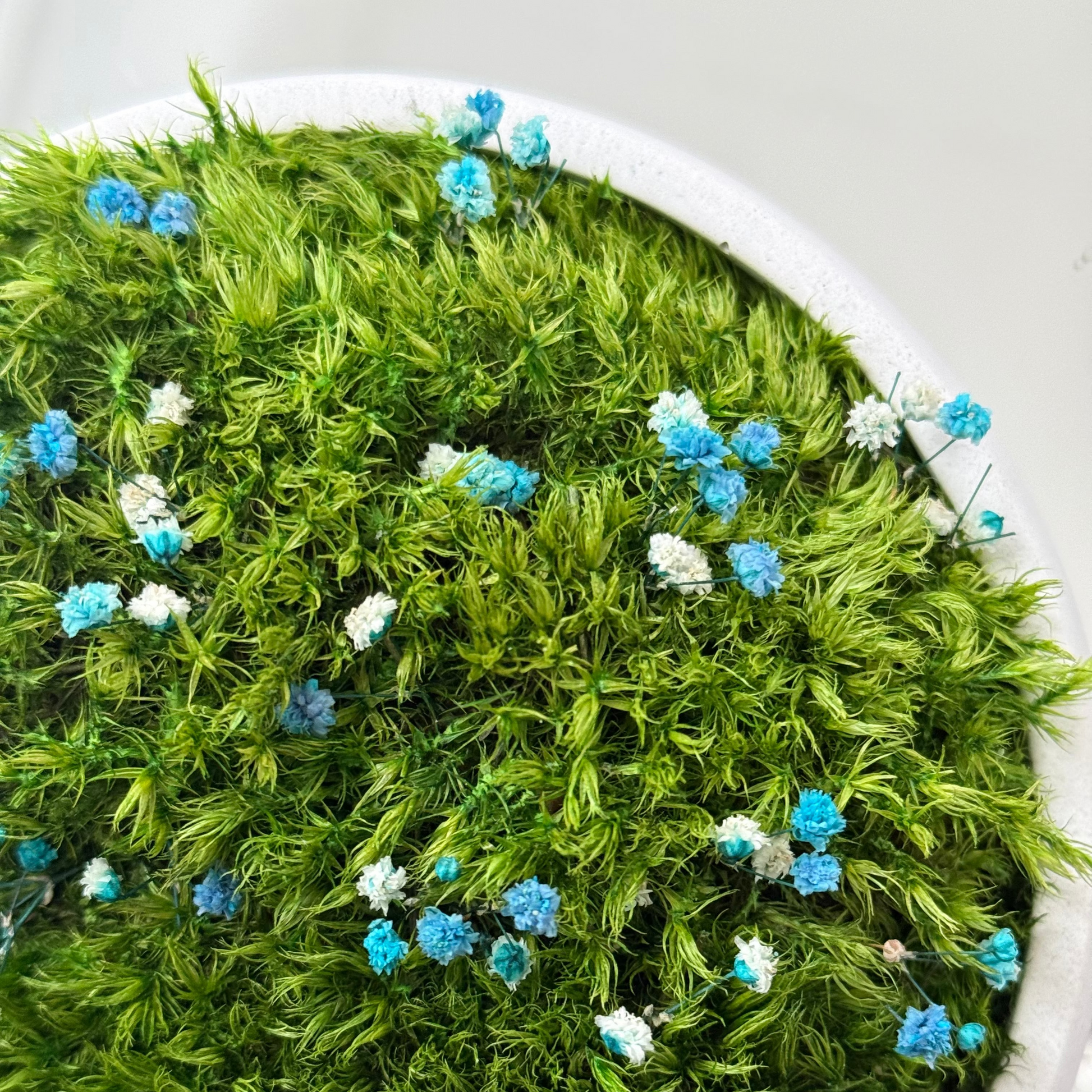 Preserved moss bowl with delicate gypsophila flowers, natural indoor greenery decor for shelf or table styling.
