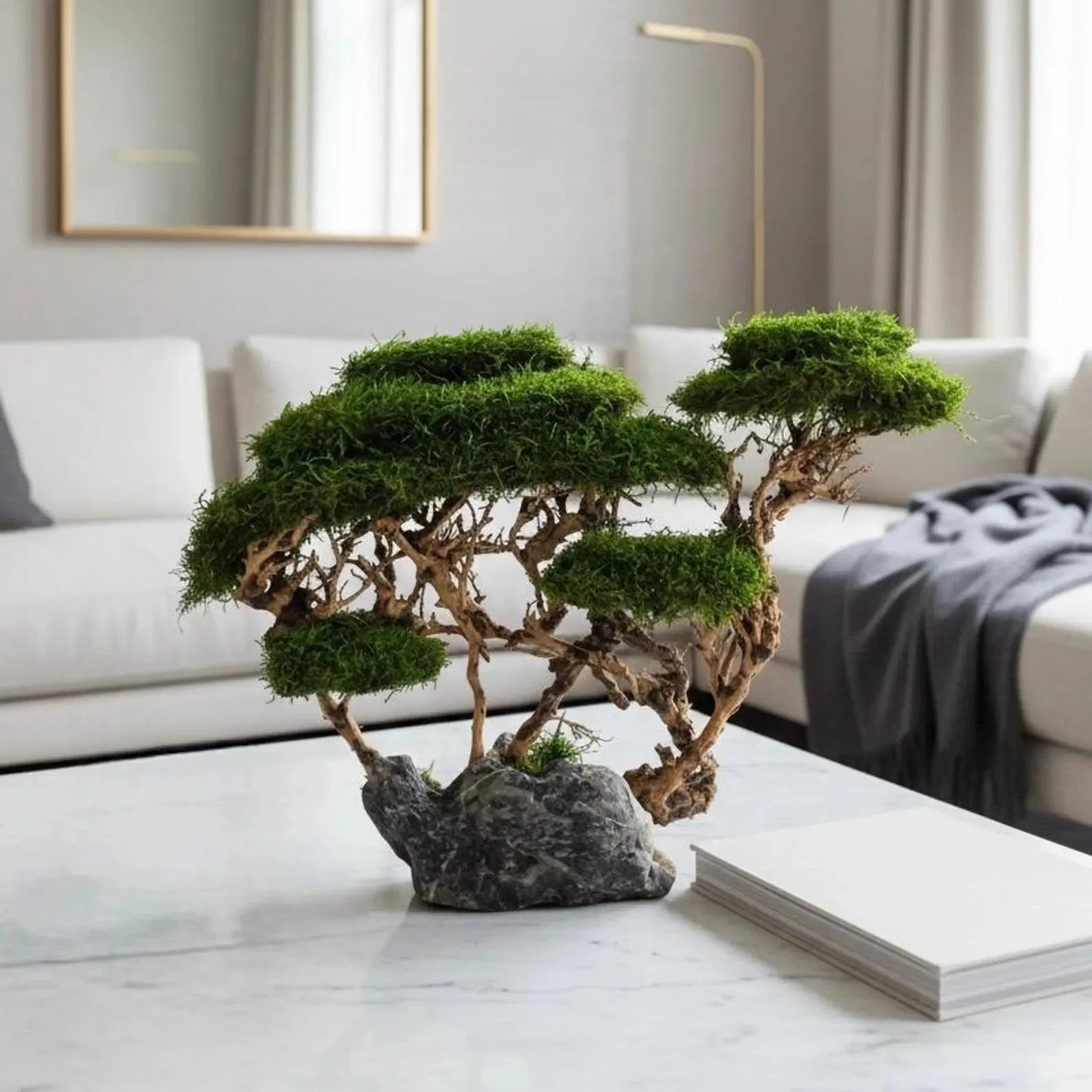 preserved moss bonsai on the stone with real roots, one of a kind bonsai tree