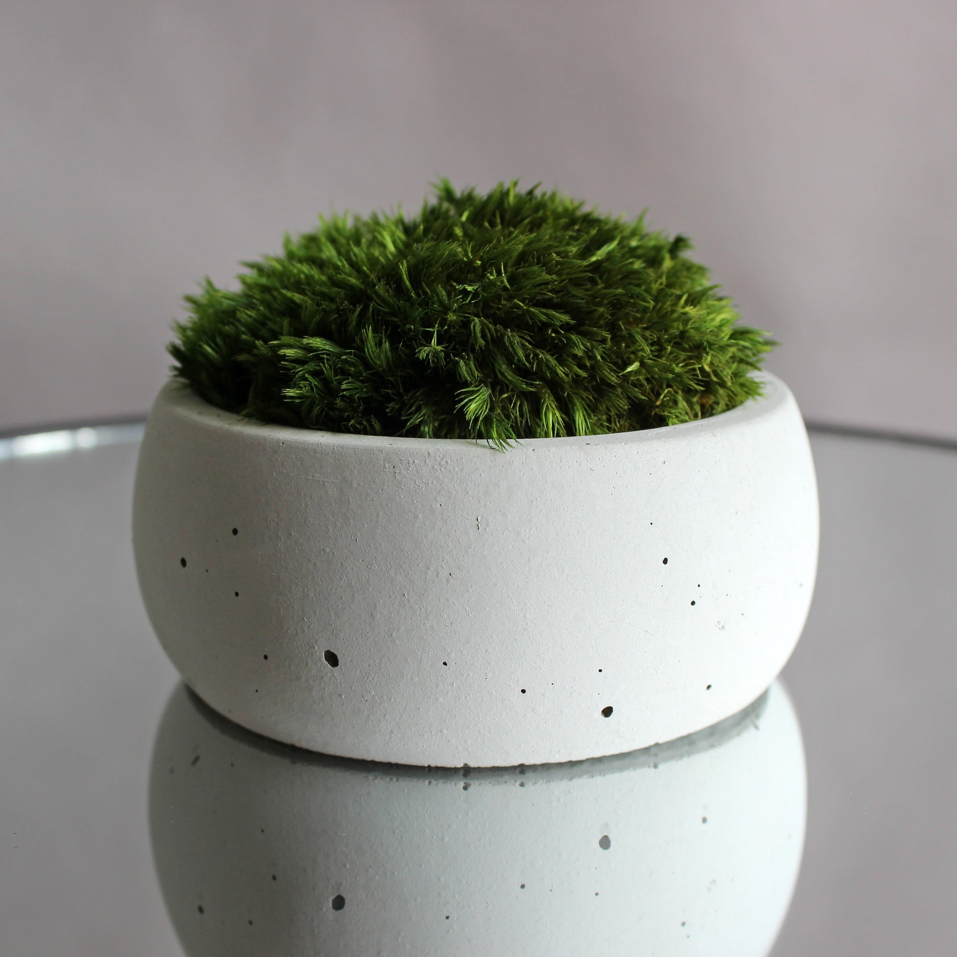 Mini zen garden with preserved moss bonsai and decorative stones in concrete pot; tabletop arrangement.