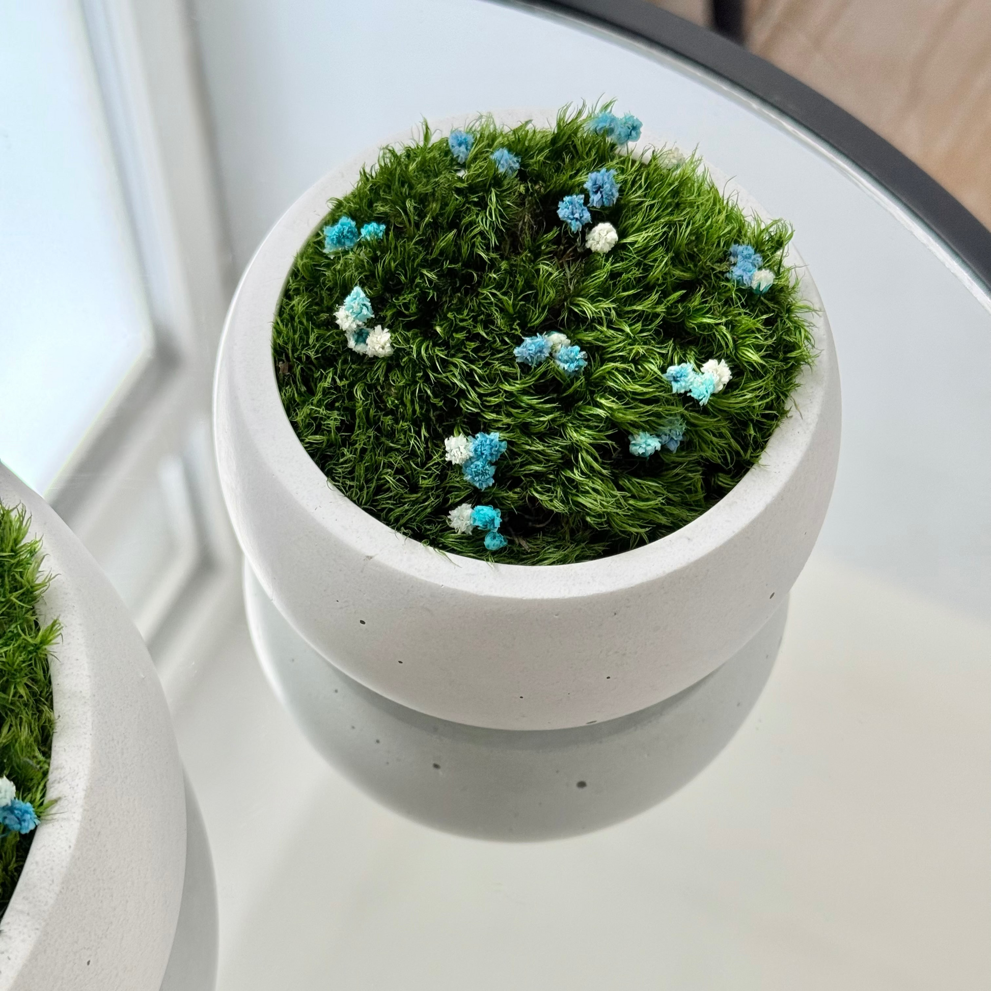 Preserved moss bowl with blue and white gypsophila flowers, natural indoor greenery decor for shelf or table styling.