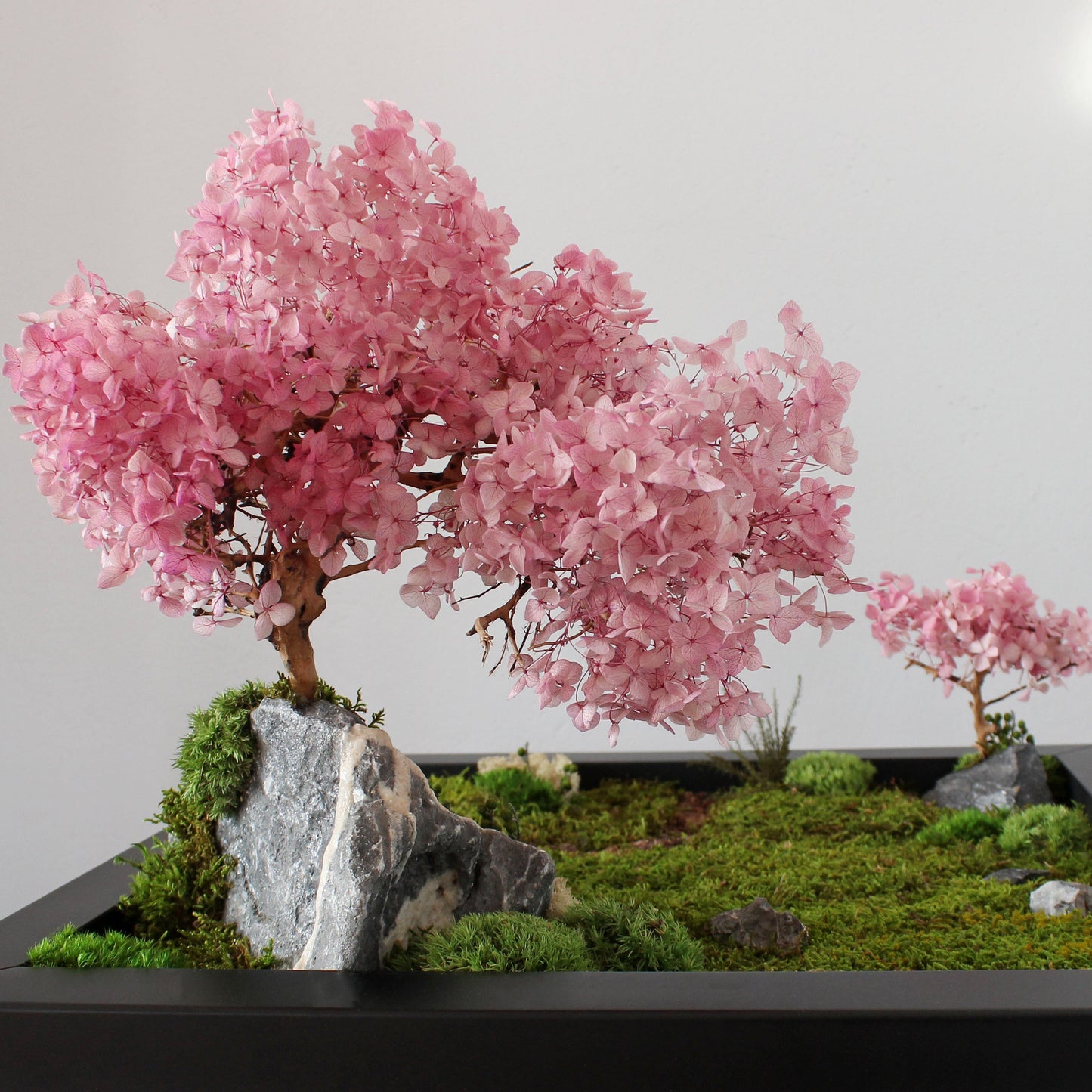 Zen garden with cherry blossom bonsai