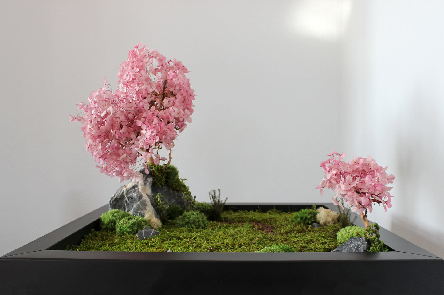 Zen garden with cherry blossom bonsai