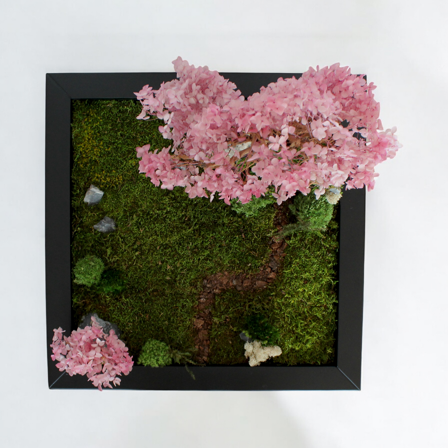 Zen garden with cherry blossom bonsai