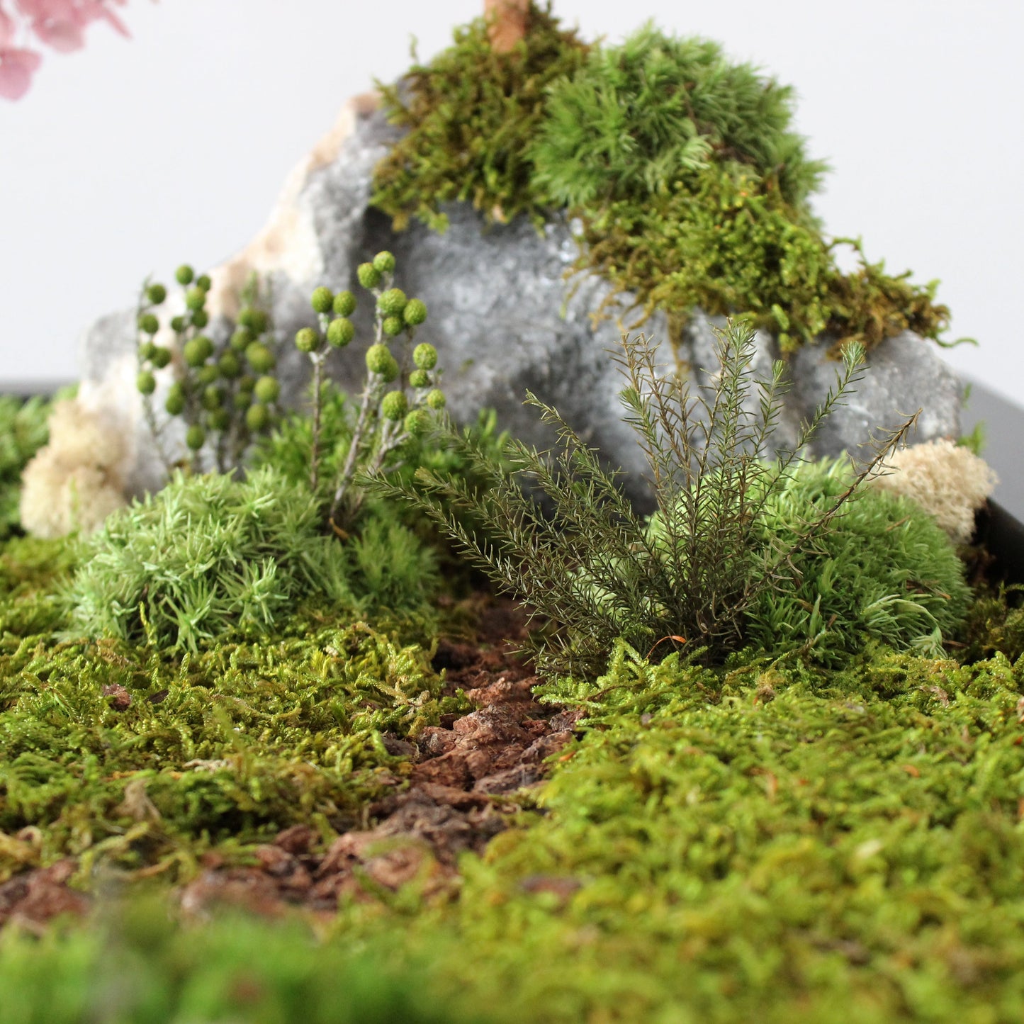 Zen garden with cherry blossom bonsai