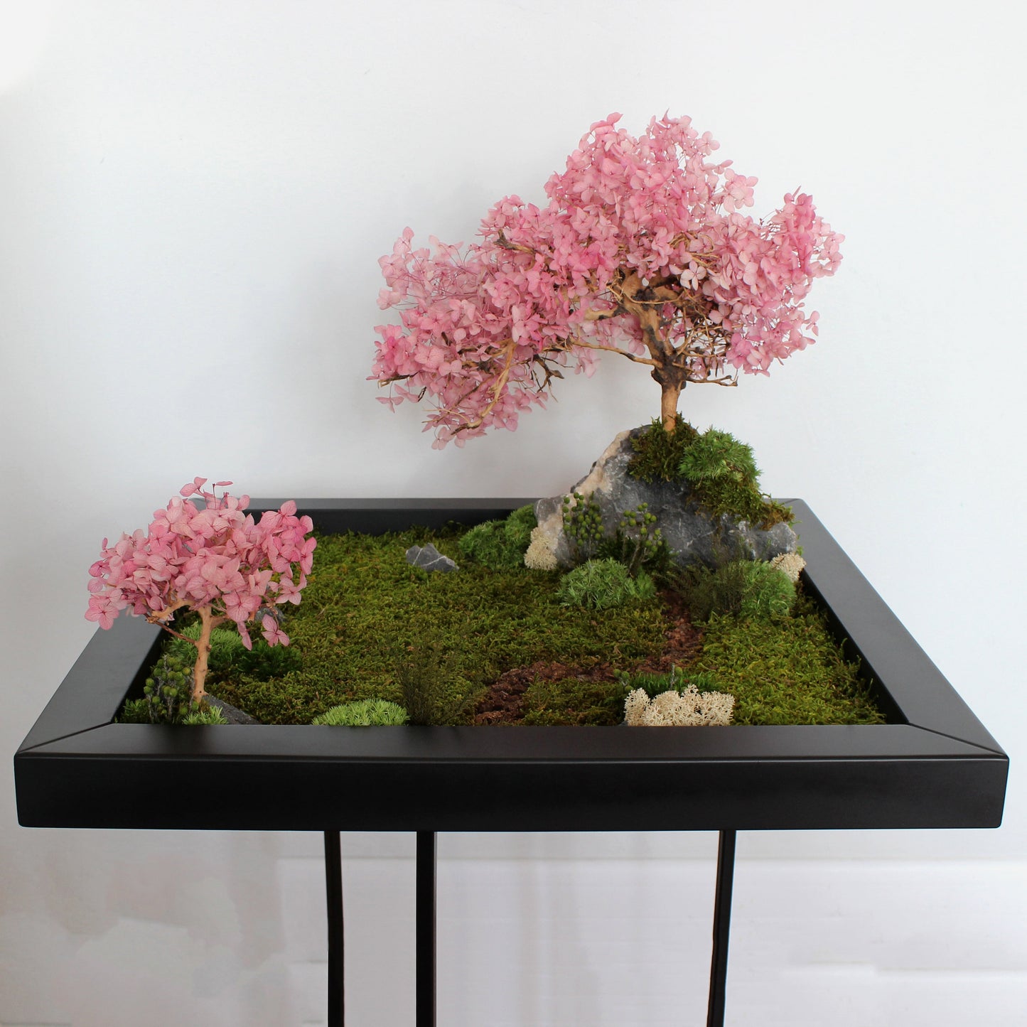 Zen garden with cherry blossom bonsai