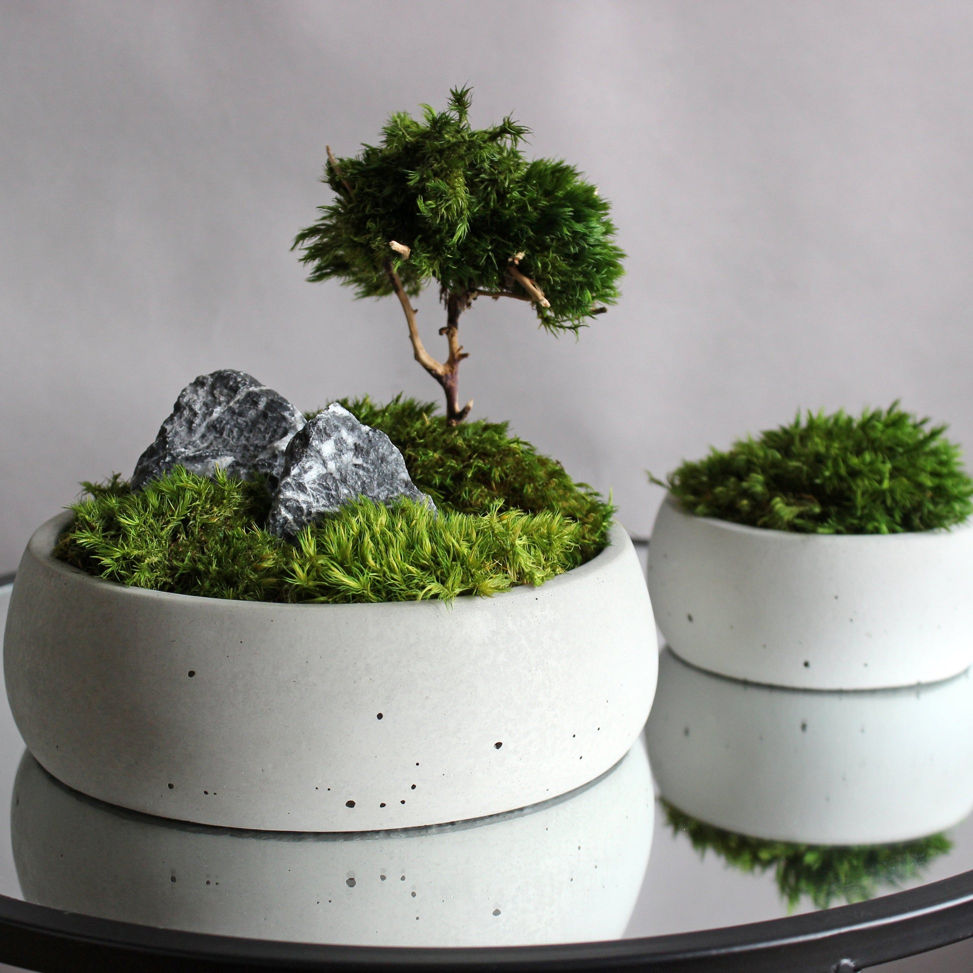 Mini zen garden with preserved moss bonsai and decorative stones in concrete pot; tabletop arrangement.
