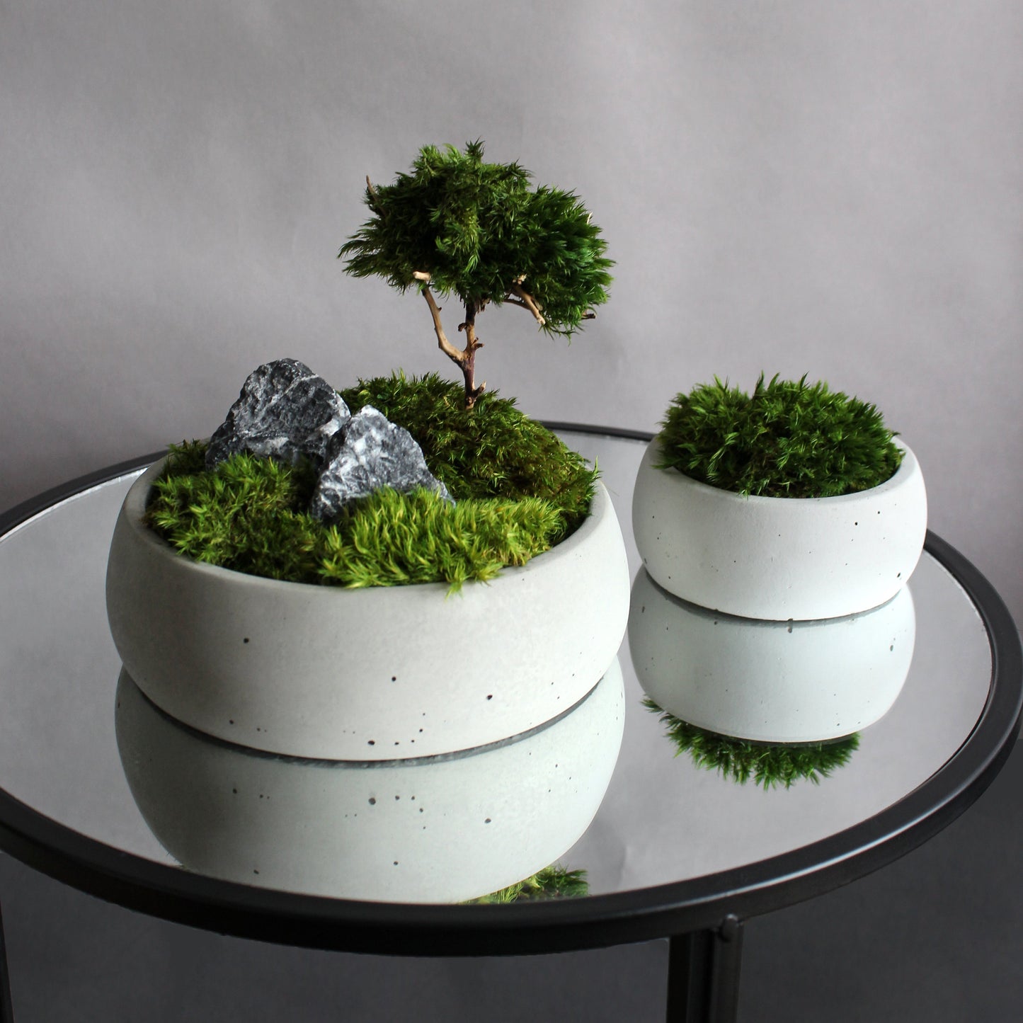 Mini zen garden with preserved moss bonsai and decorative stones in concrete pot; tabletop arrangement. Set of 2 concrete pots.
