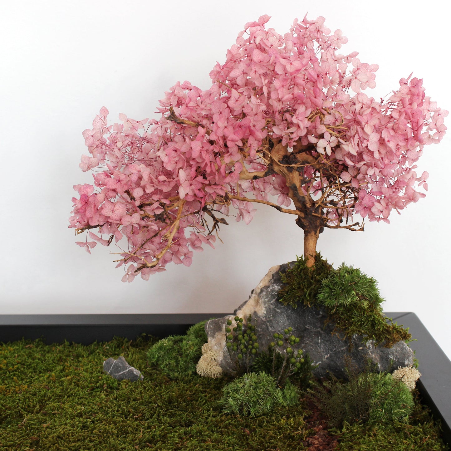 Zen garden with cherry blossom bonsai