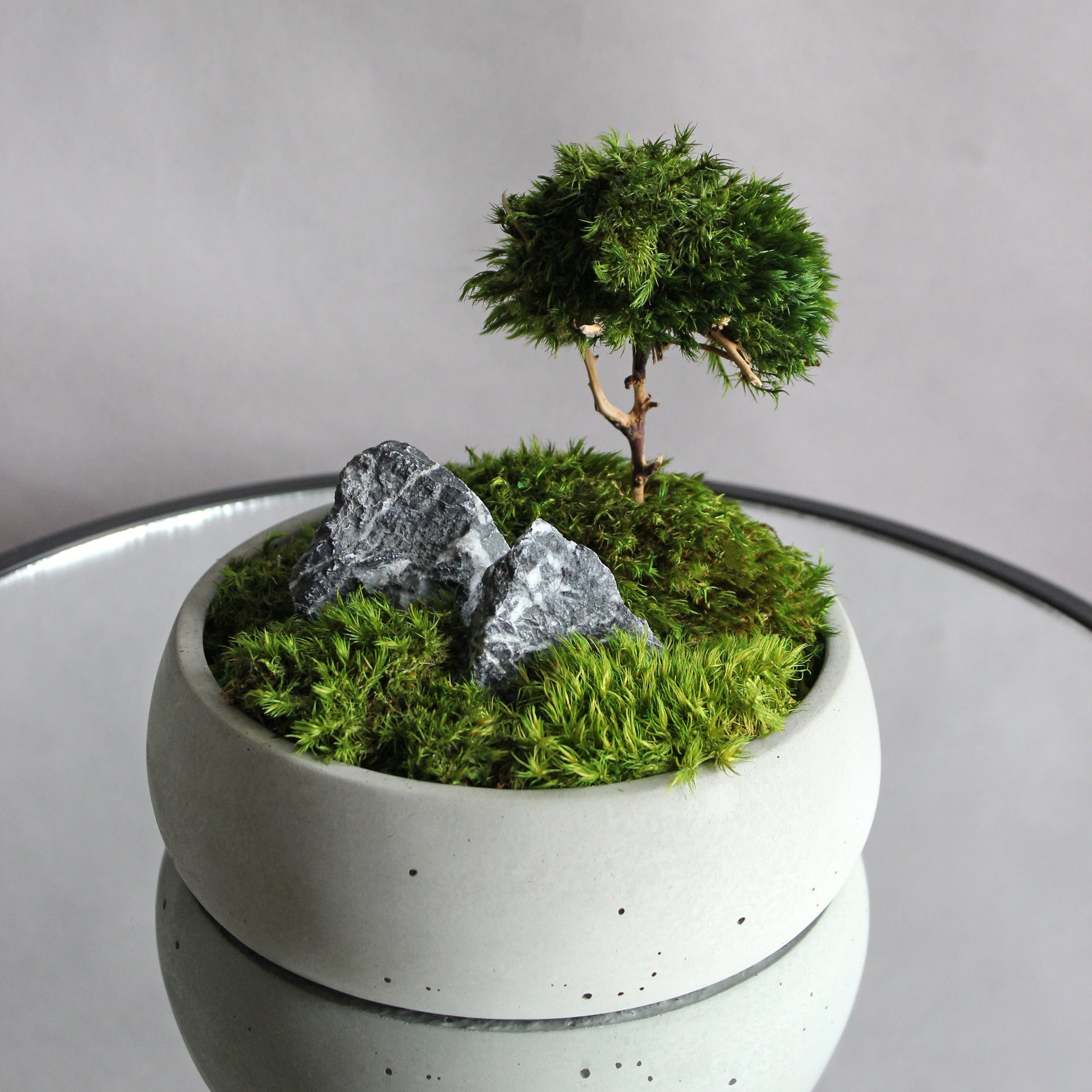 Mini zen garden with preserved moss bonsai and decorative stones in concrete pot; tabletop arrangement.