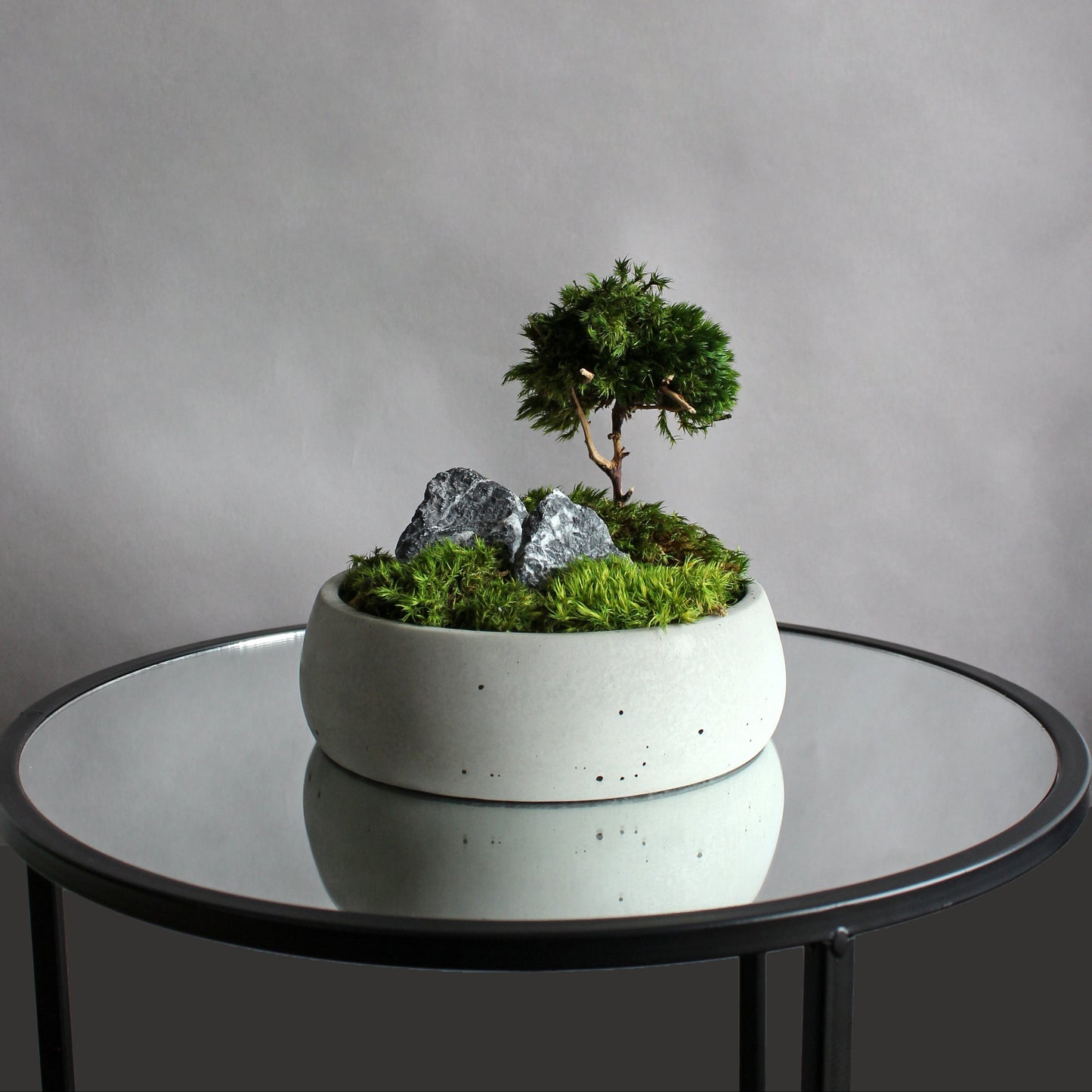 Mini zen garden with preserved moss bonsai and decorative stones in concrete pot; tabletop arrangement.