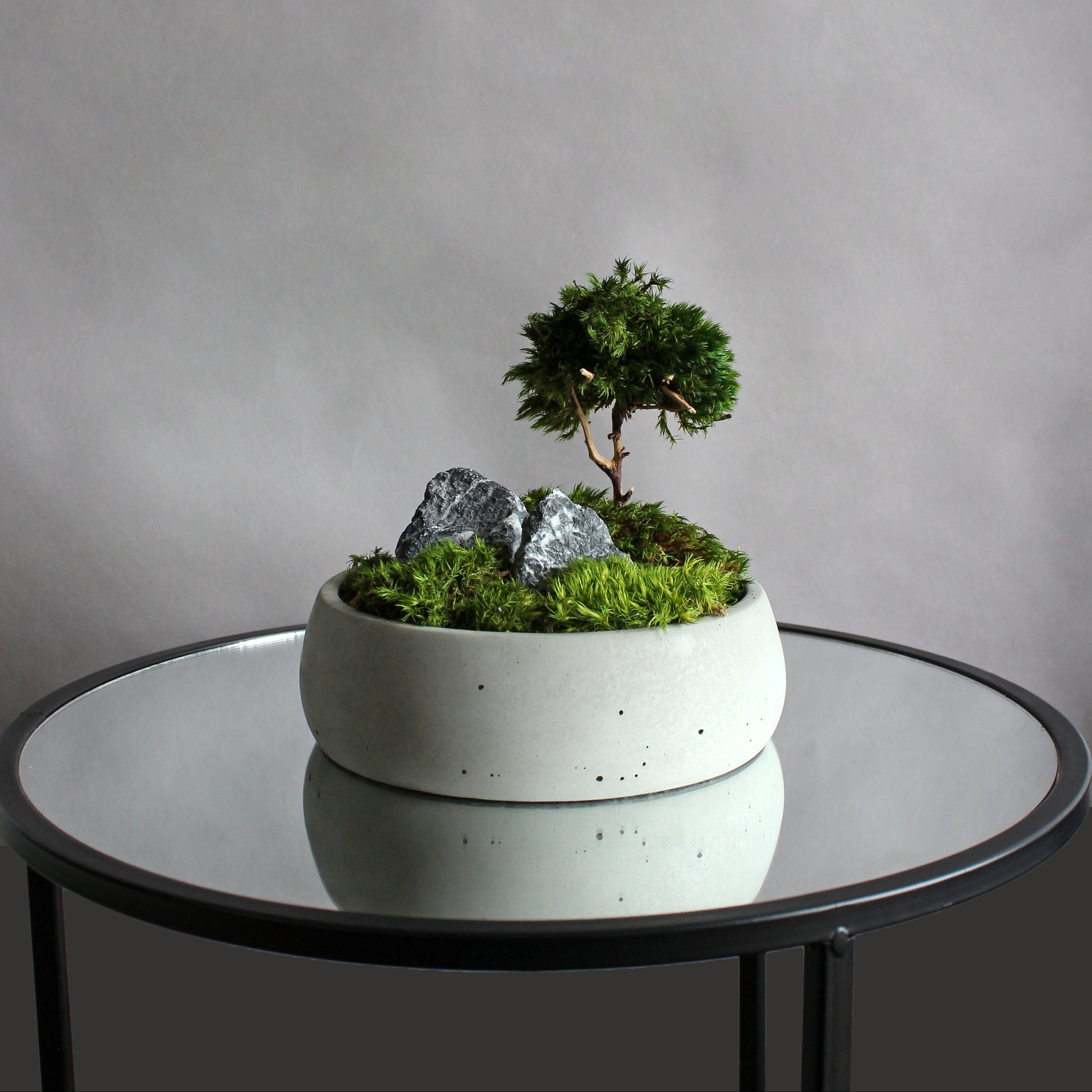 Mini zen garden with preserved moss bonsai and decorative stones in concrete pot; tabletop arrangement.