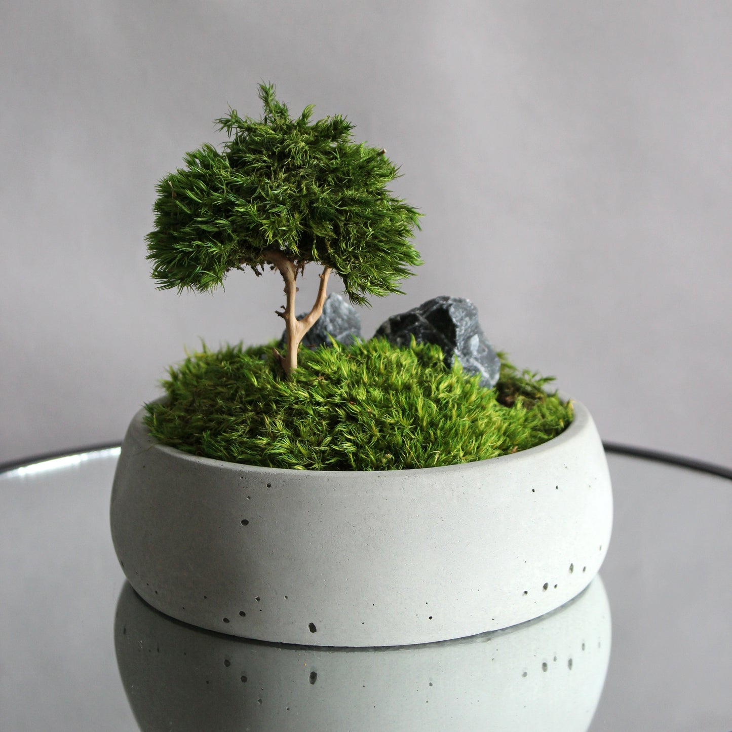 Mini zen garden with preserved moss bonsai and decorative stones in concrete pot; tabletop arrangement.