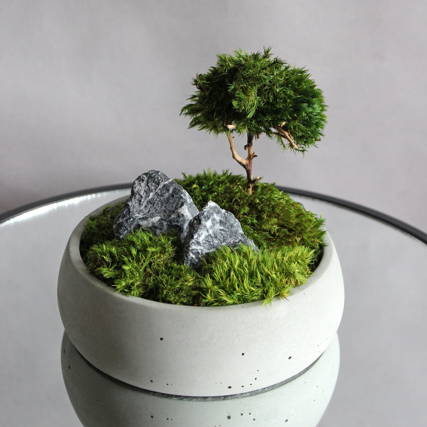 Mini zen garden with preserved moss bonsai and decorative stones in concrete pot; tabletop arrangement.