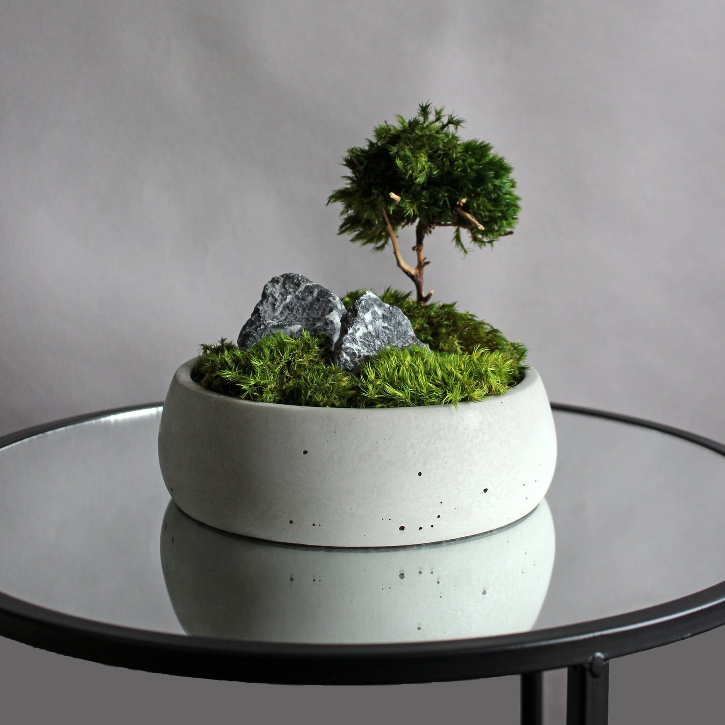 Mini zen garden with preserved moss bonsai and decorative stones in concrete pot; tabletop arrangement.