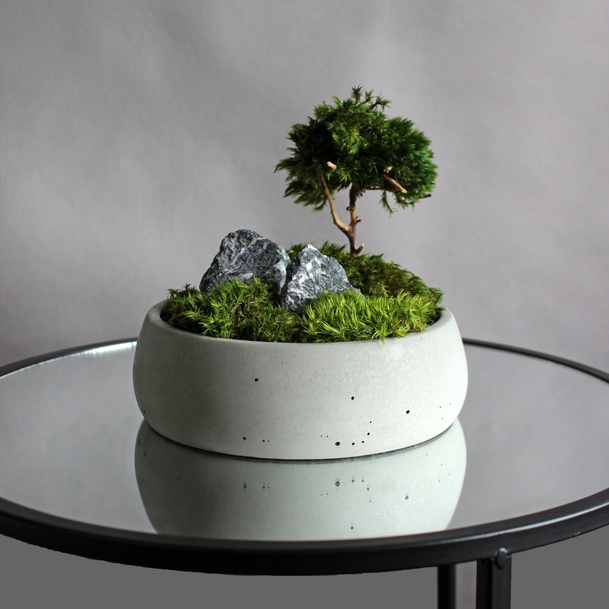Mini zen garden with preserved moss bonsai and decorative stones in concrete pot; tabletop arrangement.