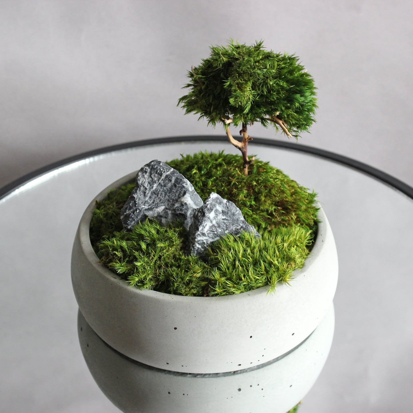 Mini zen garden with preserved moss bonsai and decorative stones in concrete pot; tabletop arrangement.