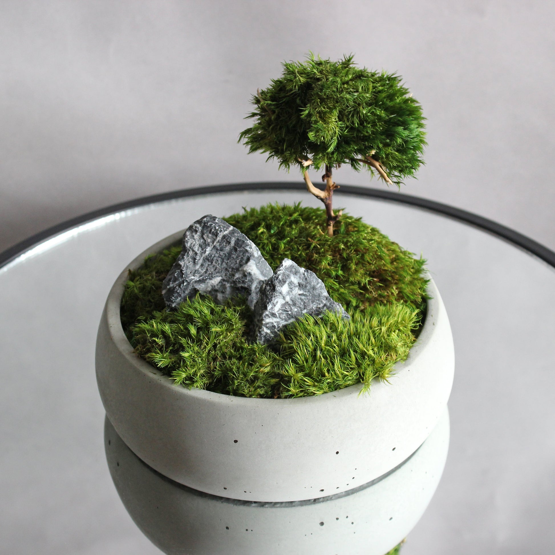 Mini zen garden with preserved moss bonsai and decorative stones in concrete pot; tabletop arrangement.