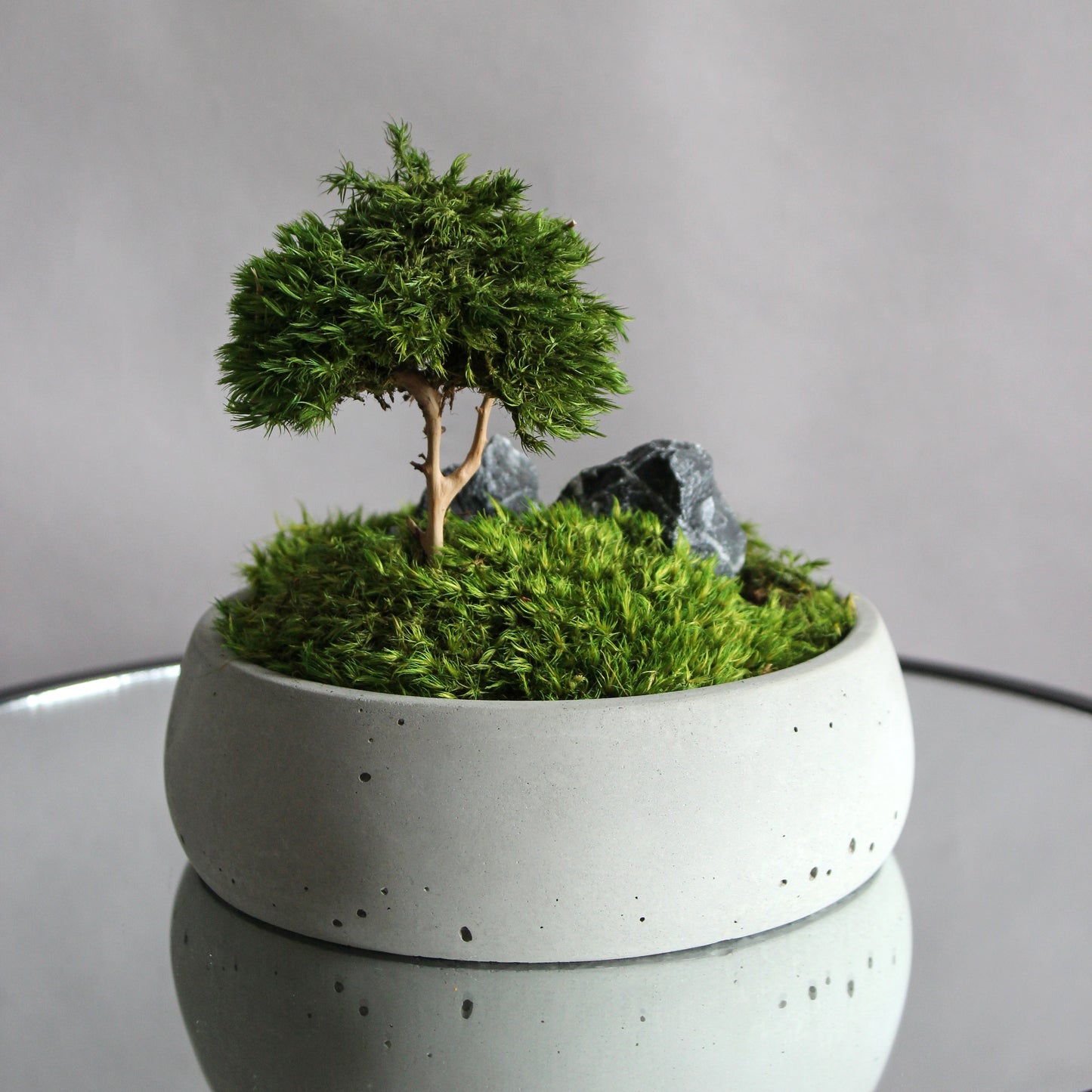 Mini zen garden with preserved moss bonsai and decorative stones in concrete pot; tabletop arrangement.