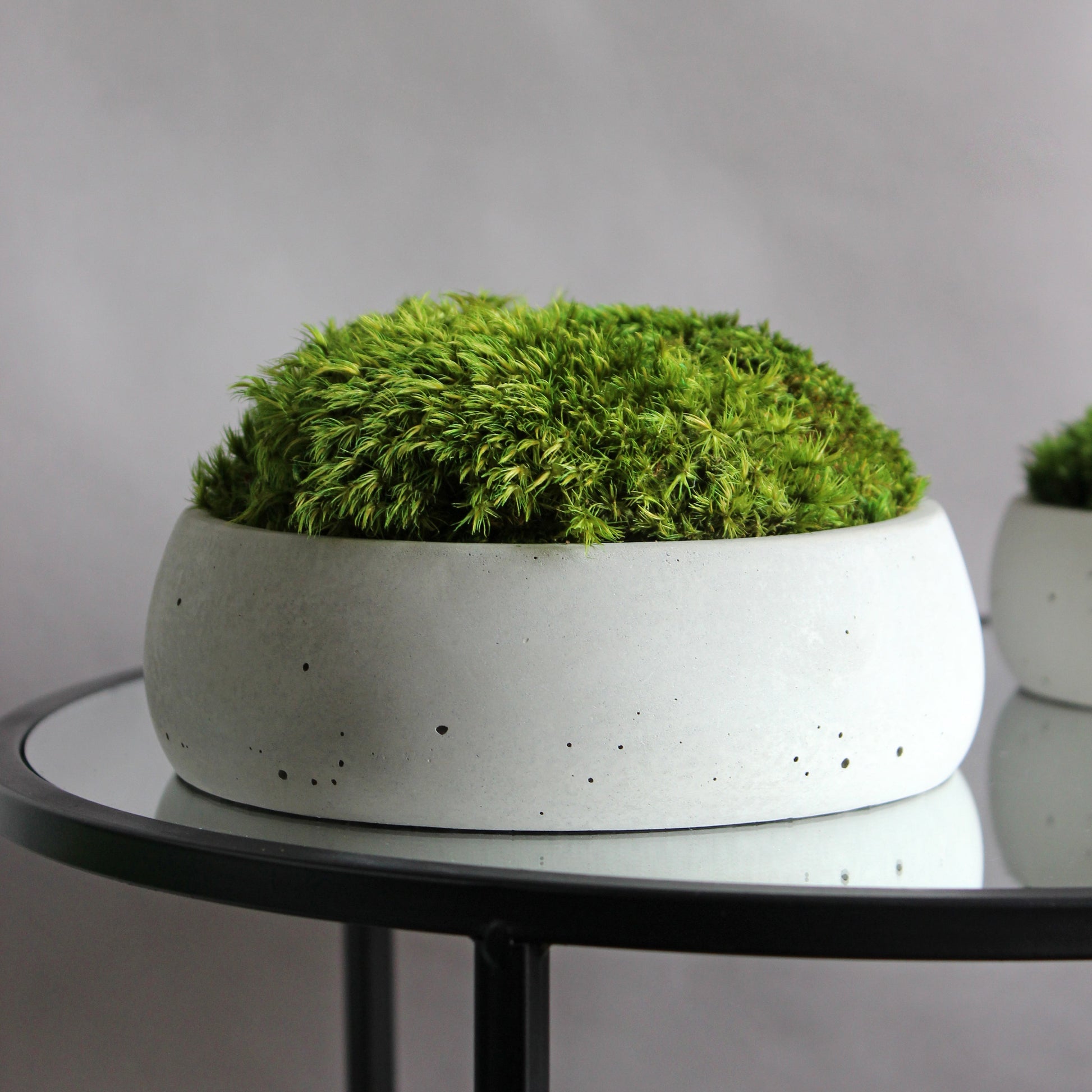 Preserved mood moss in a decorative concrete pot, natural indoor greenery decor for coffee tables, shelves and modern interiors.
